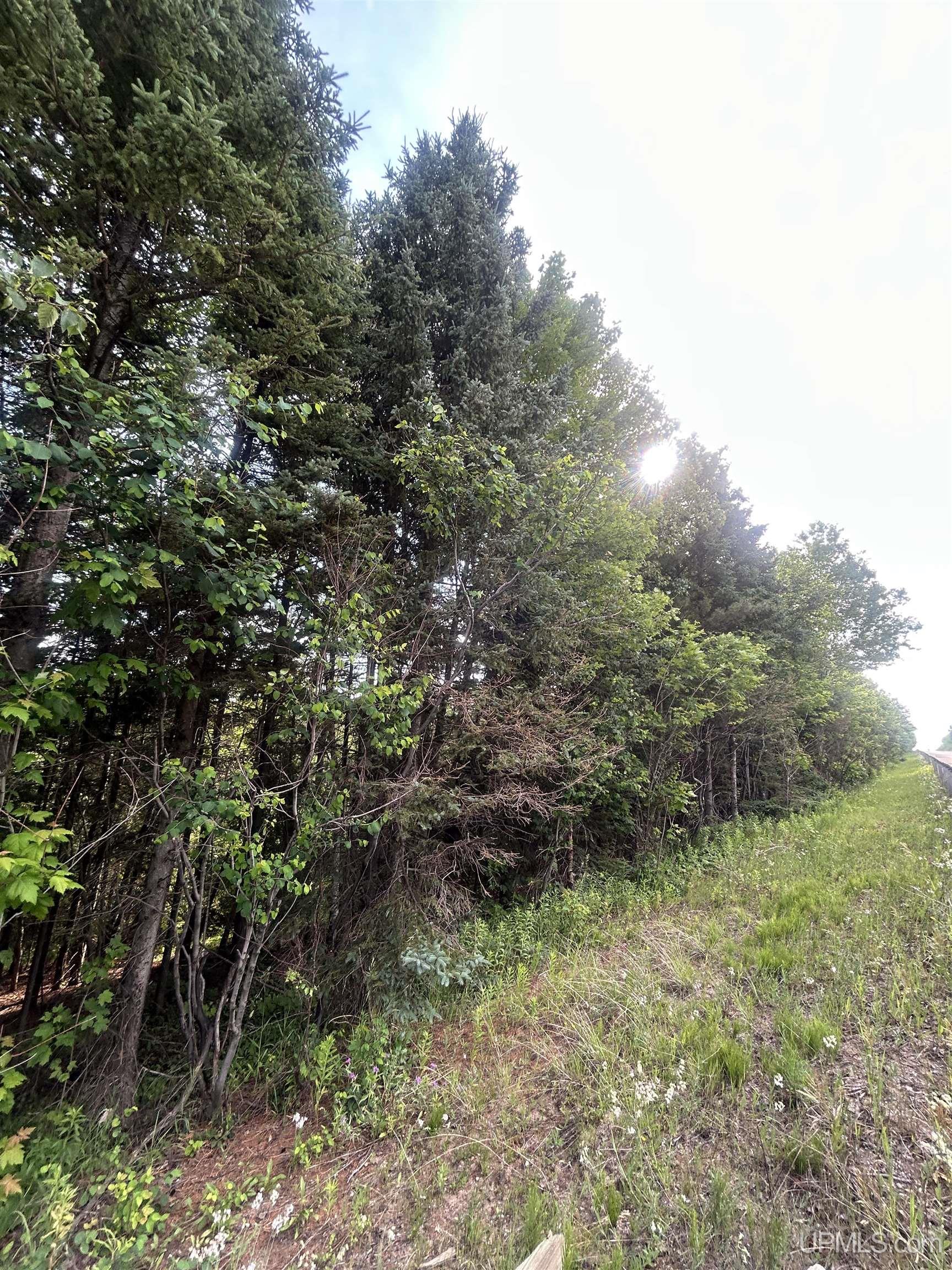 Off Co Rd 480 & Old Co Rd 480 Road Property Photo 3