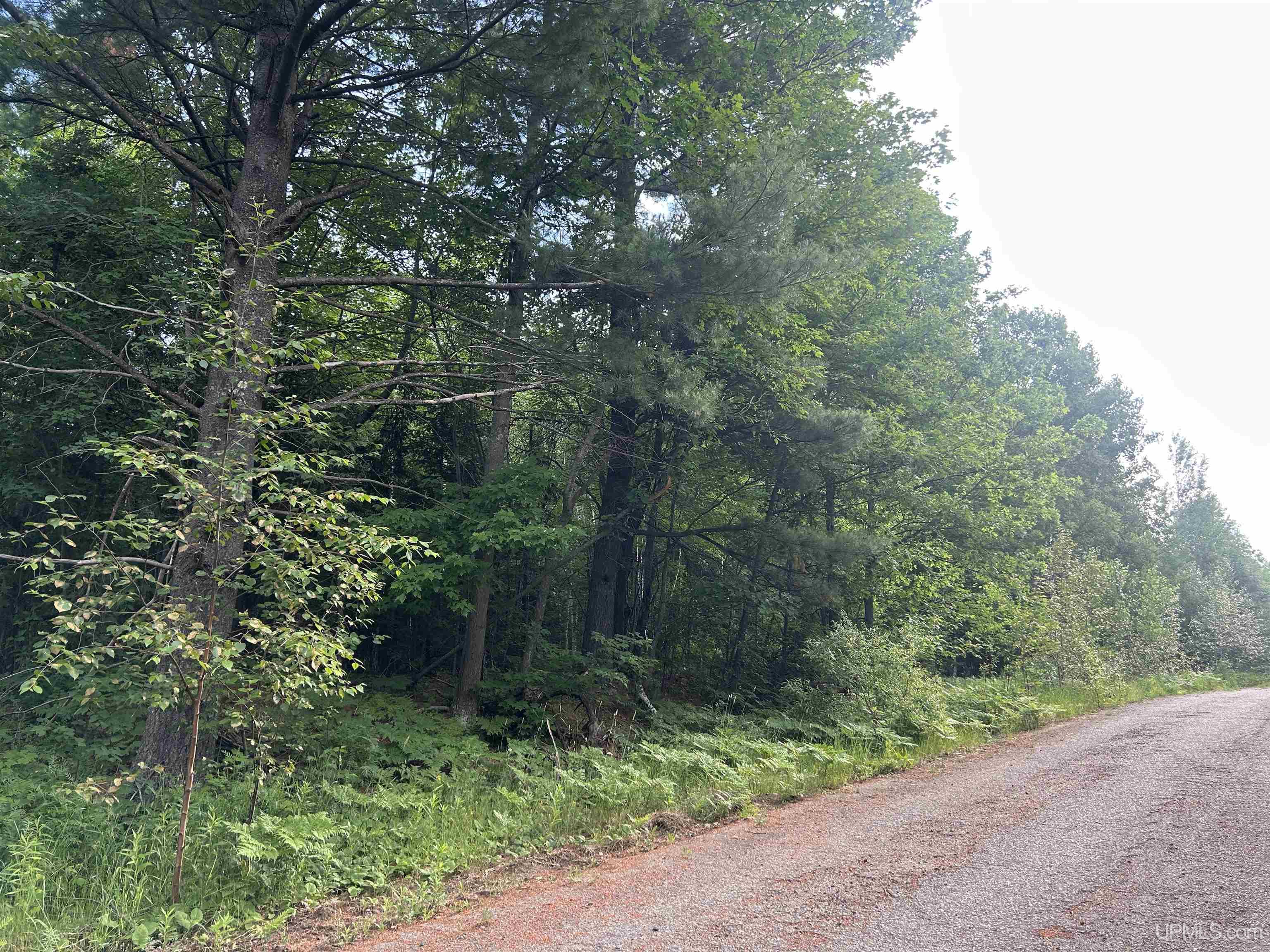 Off Co Rd 480 & Old Co Rd 480 Road Property Photo 8