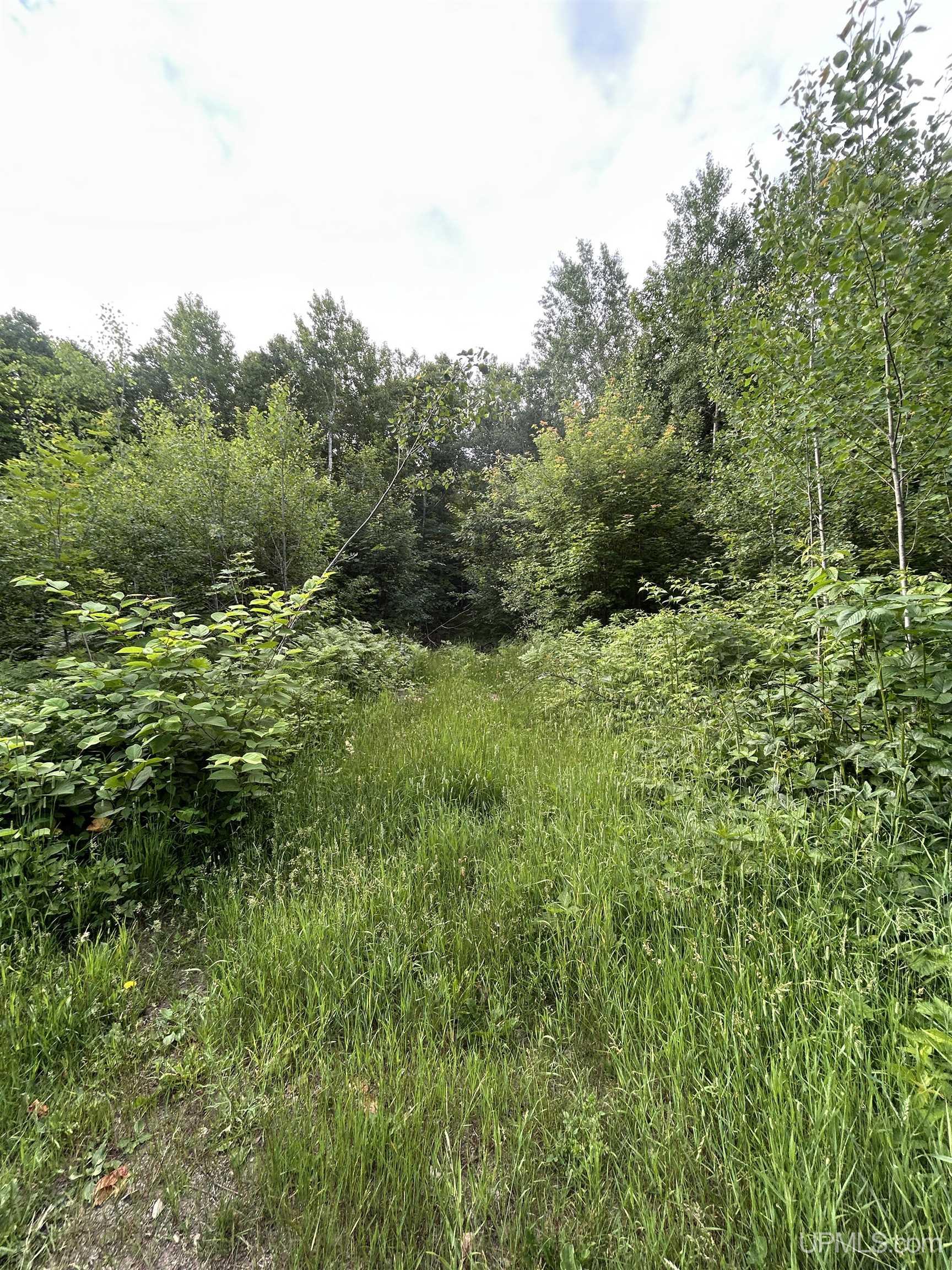 Off Co Rd 480 & Old Co Rd 480 Road Property Photo 12