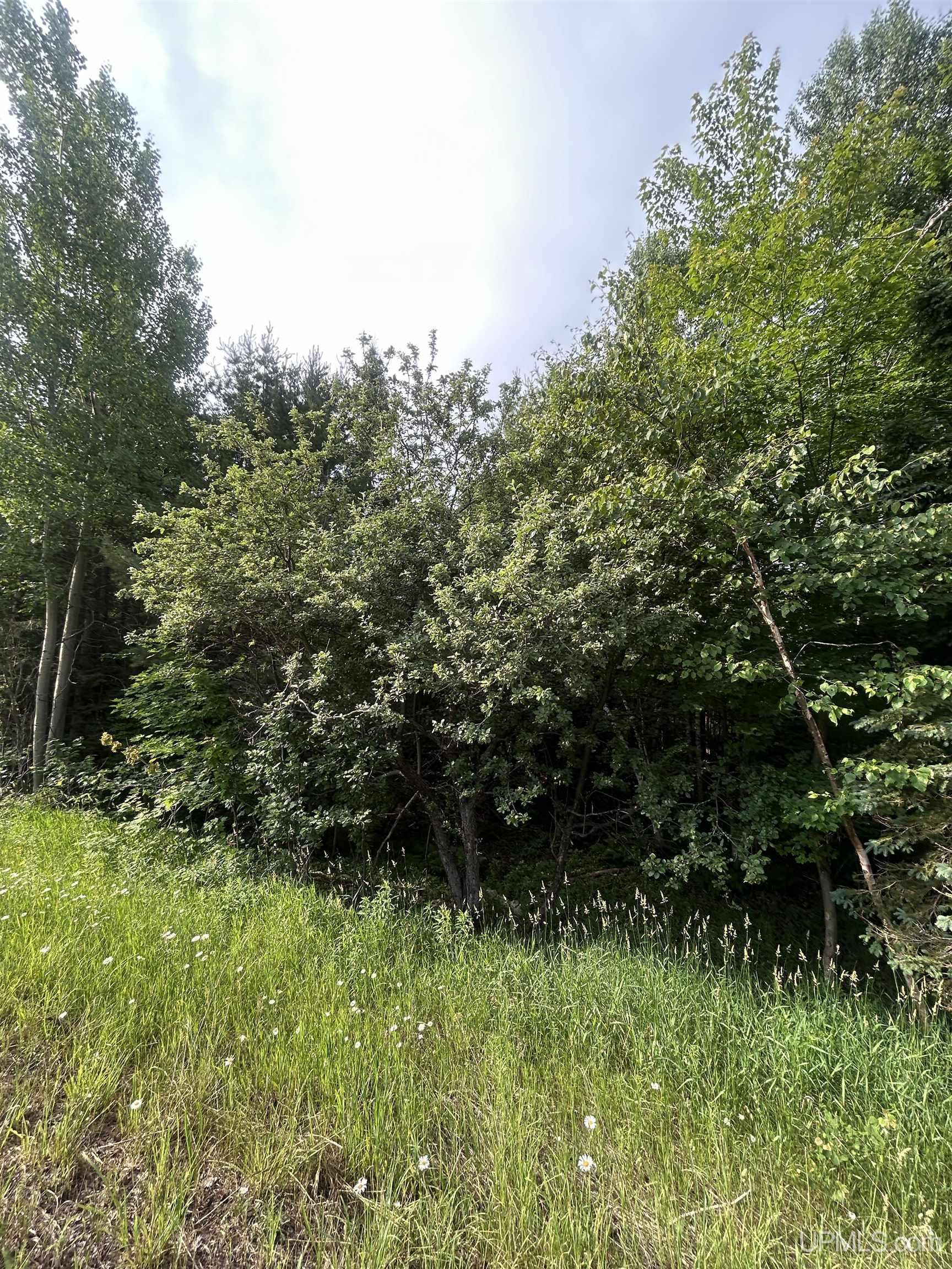 Off Co Rd 480 & Old Co Rd 480 Road Property Photo 16