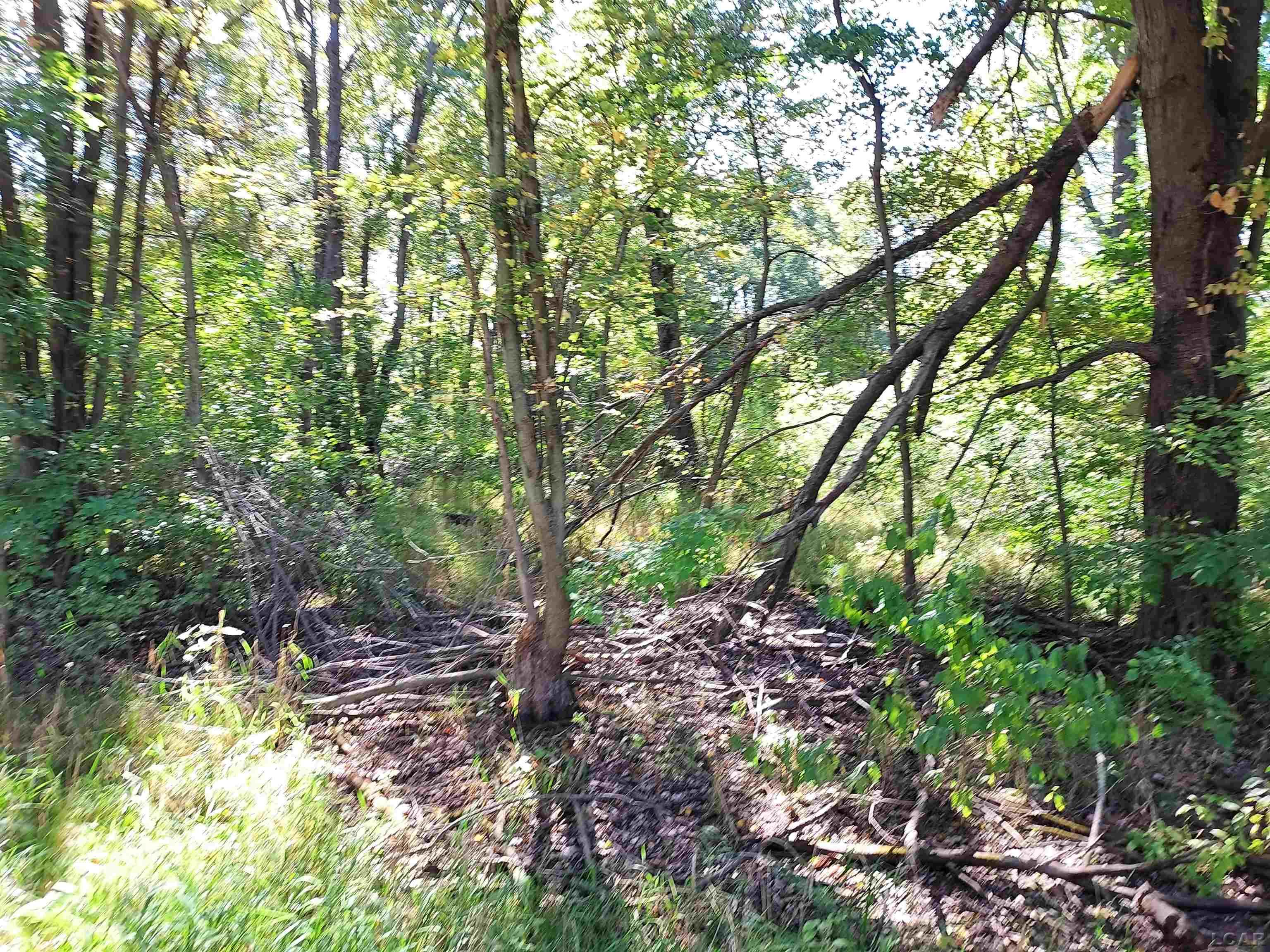 203 Kirkley Drive Property Photo 2