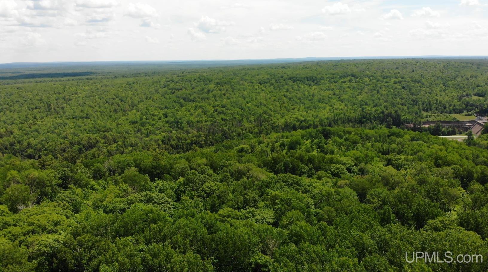 24954 Victoria Dam Road Property Photo 45