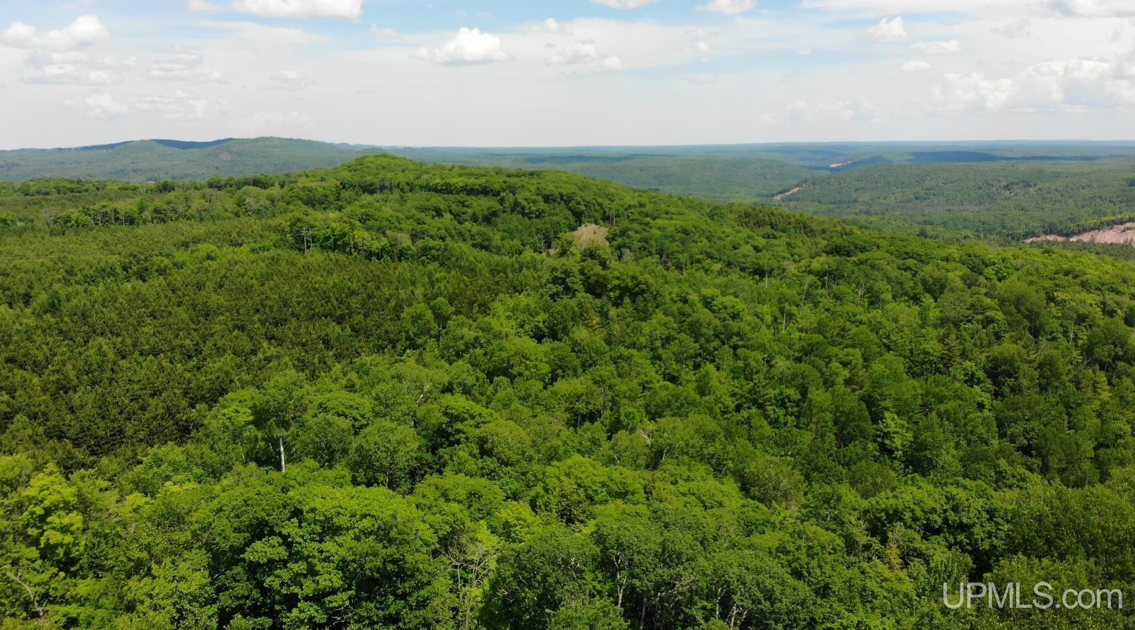 24954 Victoria Dam Road Property Photo 47