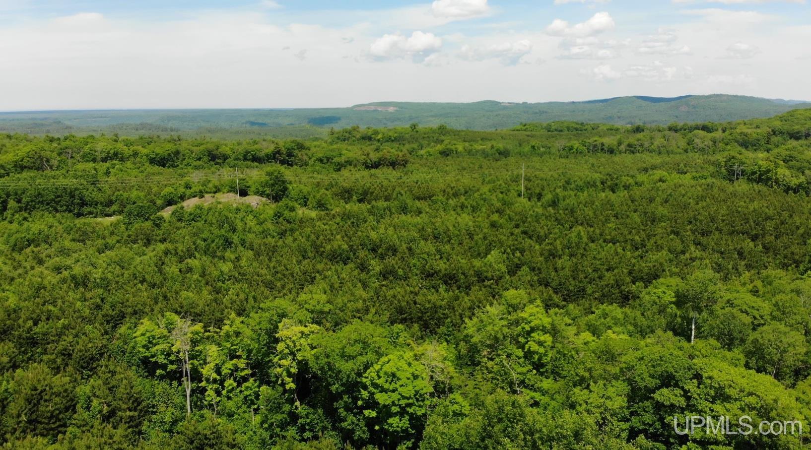 24954 Victoria Dam Road Property Photo 48