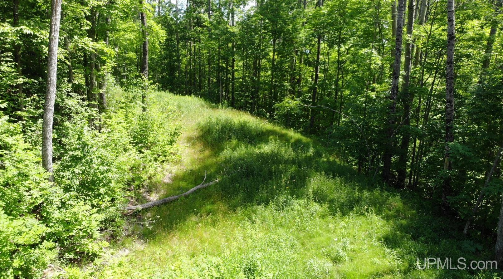 24954 Victoria Dam Road Property Photo 60