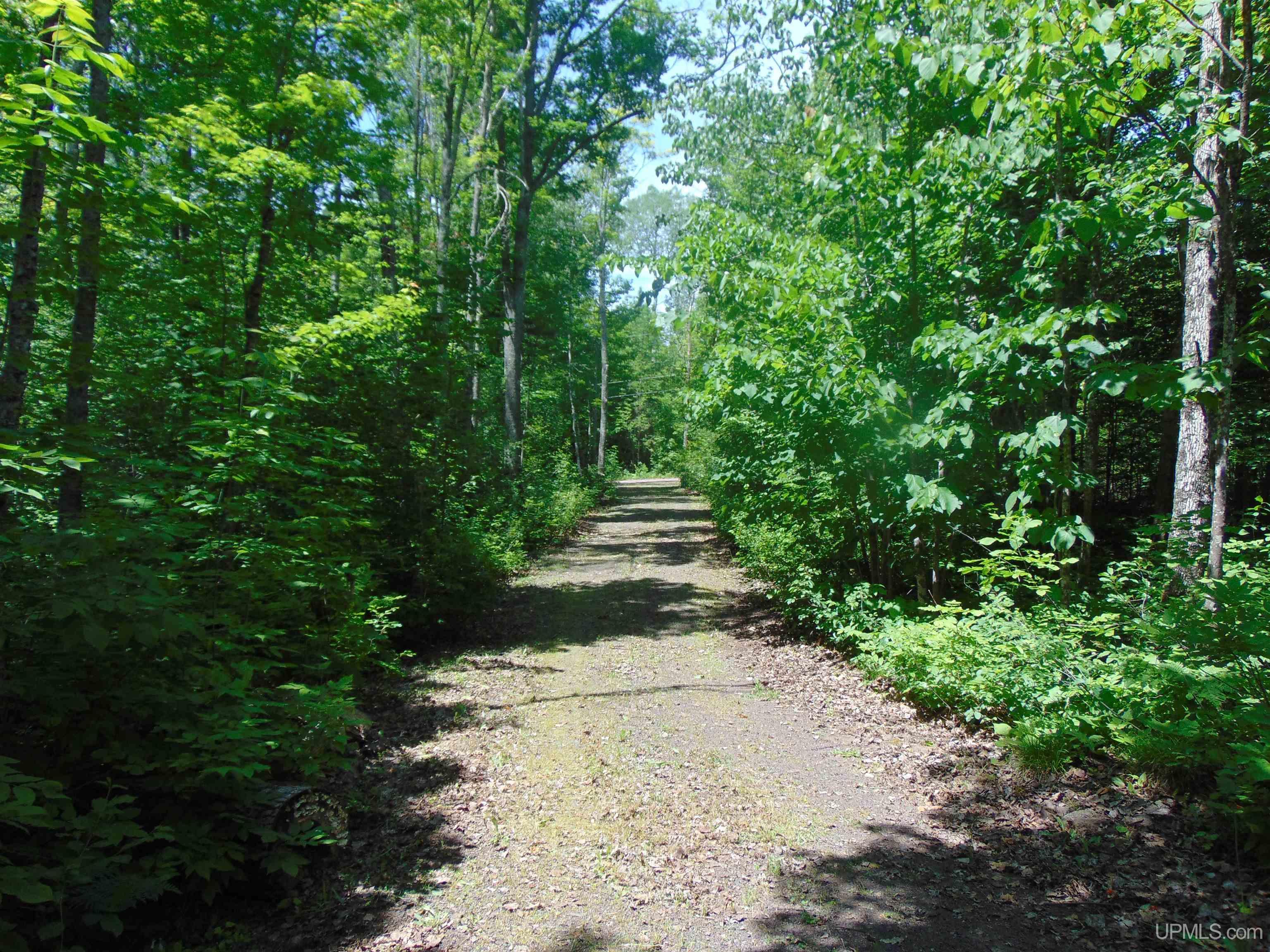 24954 Victoria Dam Road Property Photo 62