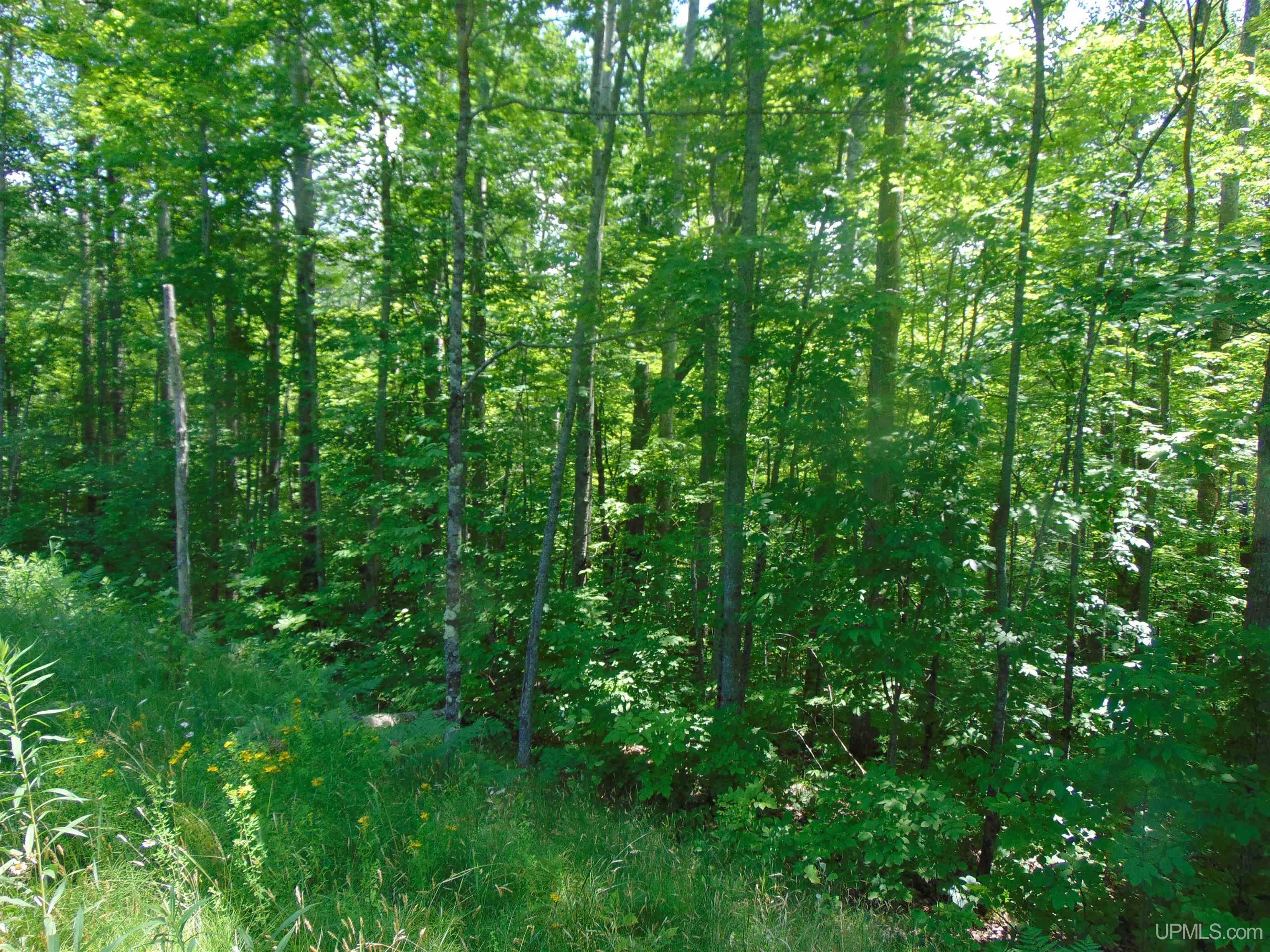 24954 Victoria Dam Road Property Photo 67