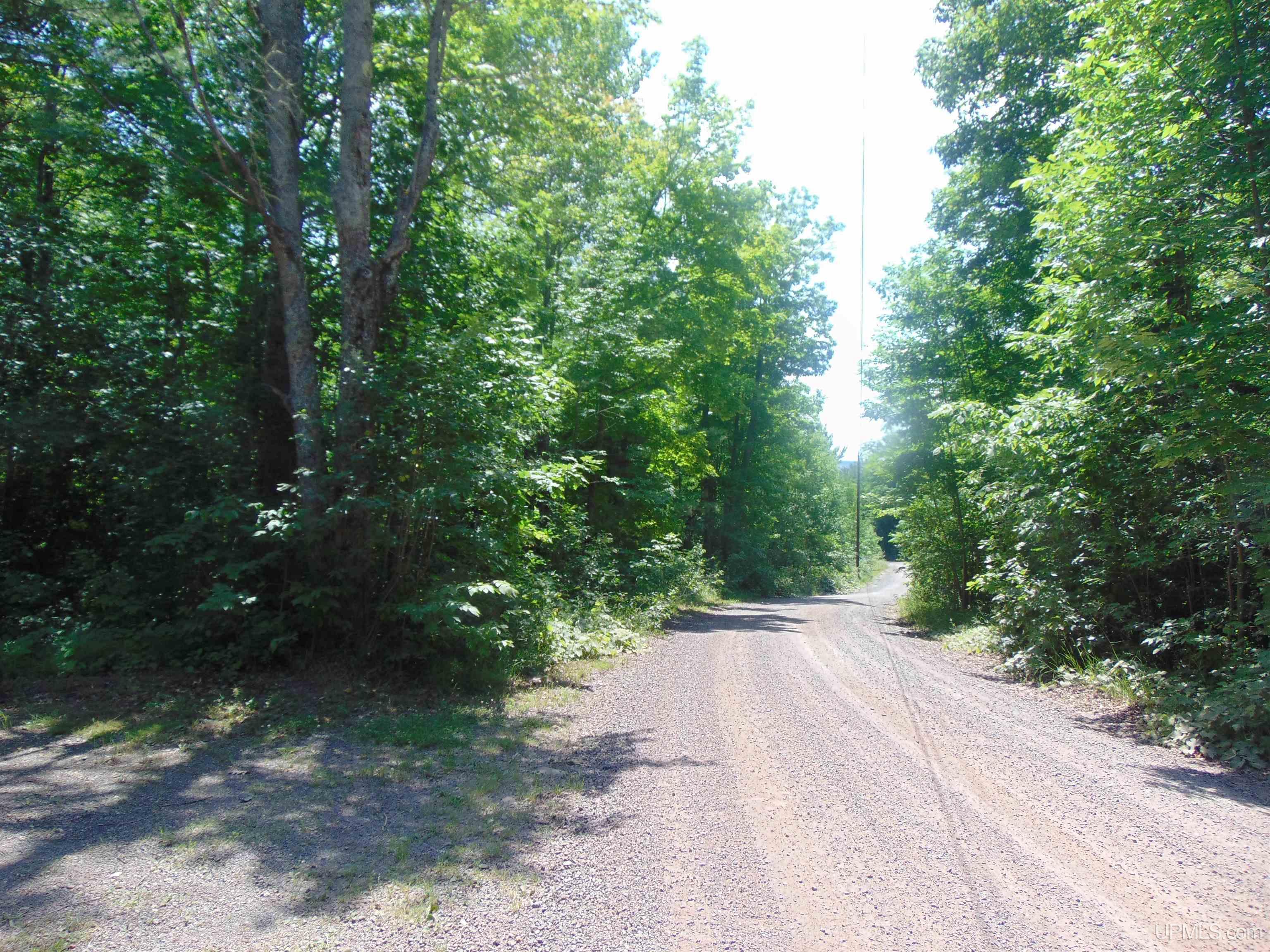 24954 Victoria Dam Road Property Photo 73