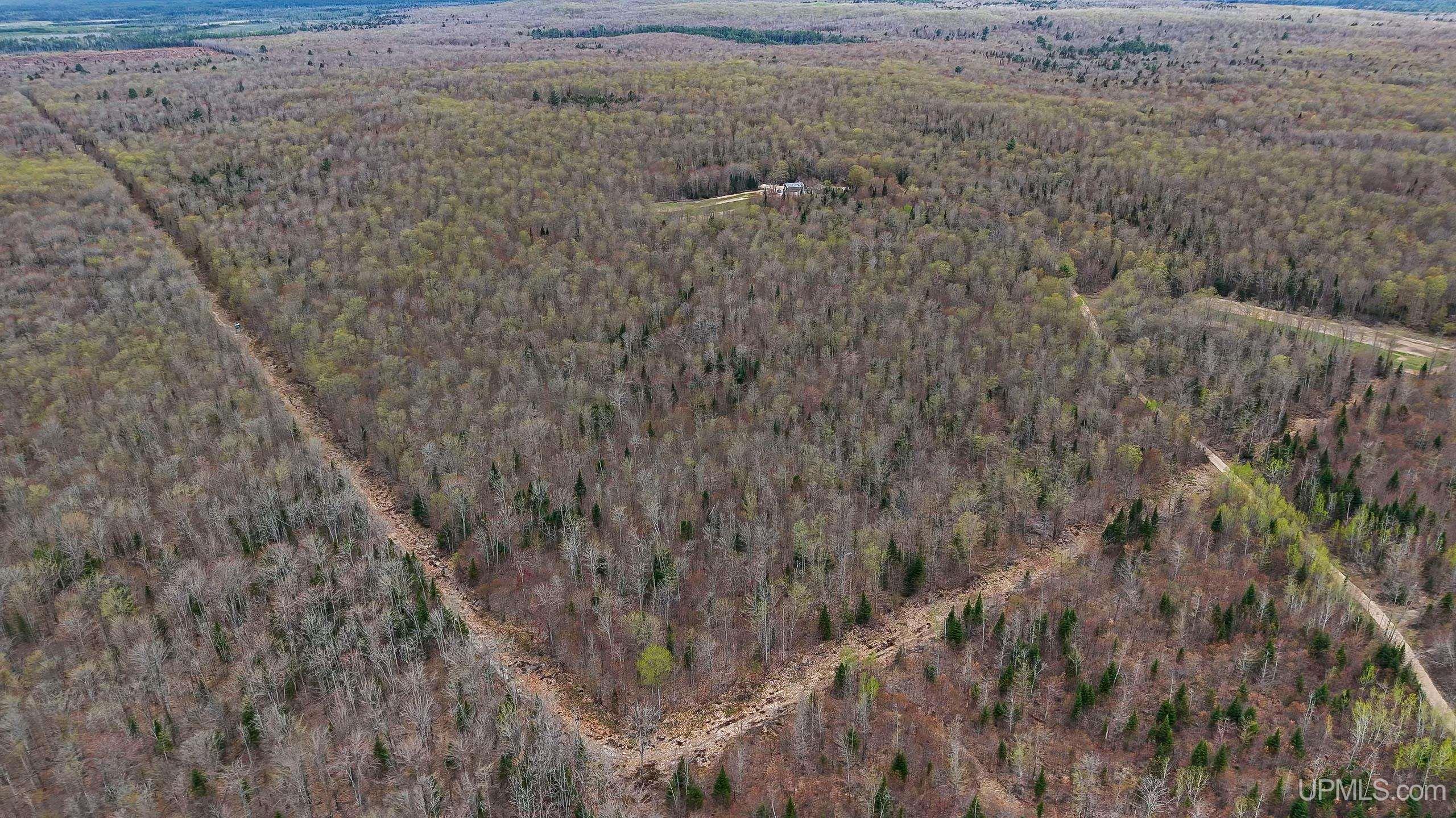 11307 Chesbrough Lake Road Property Photo 5