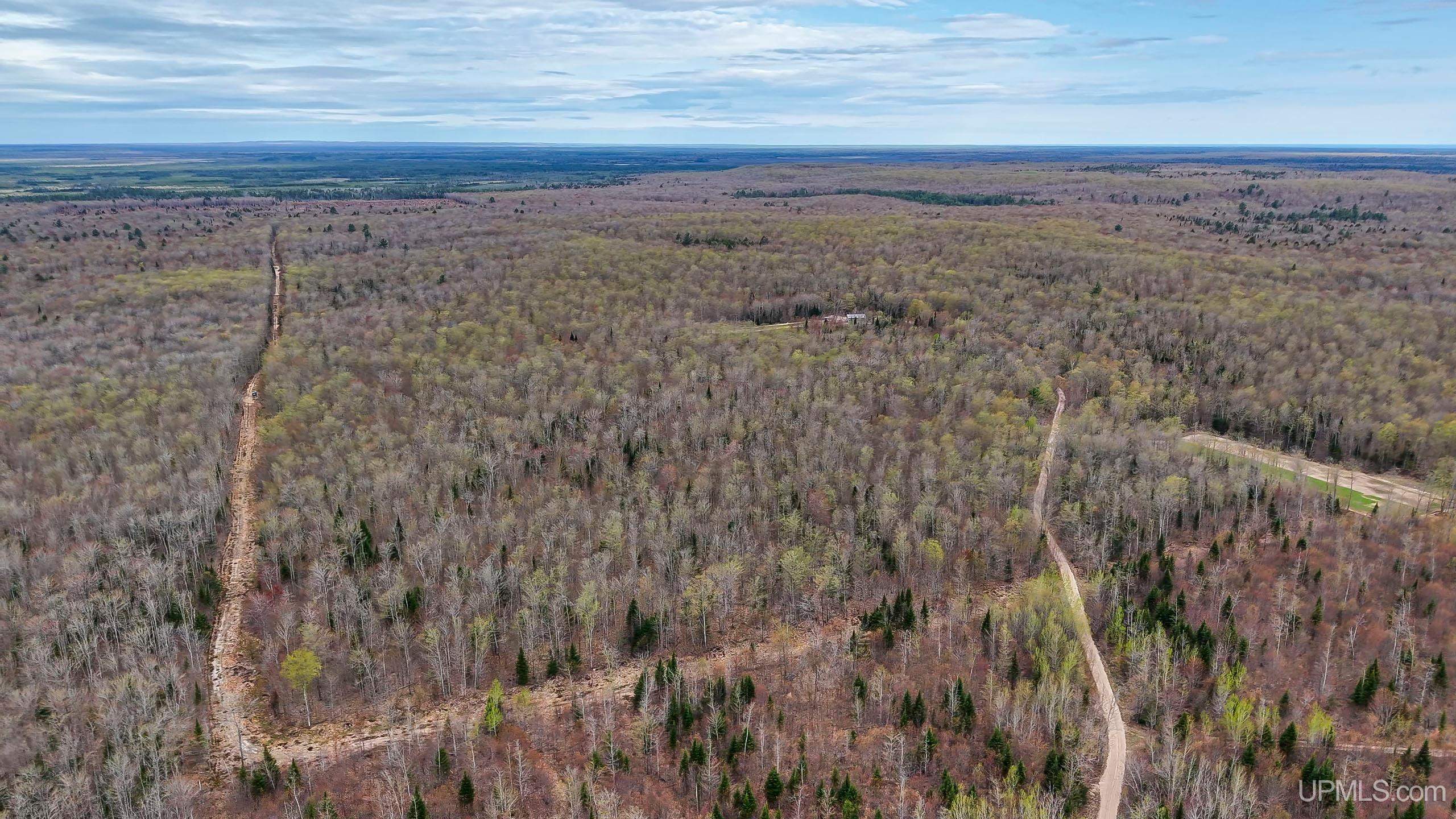11307 Chesbrough Lake Road Property Photo 7