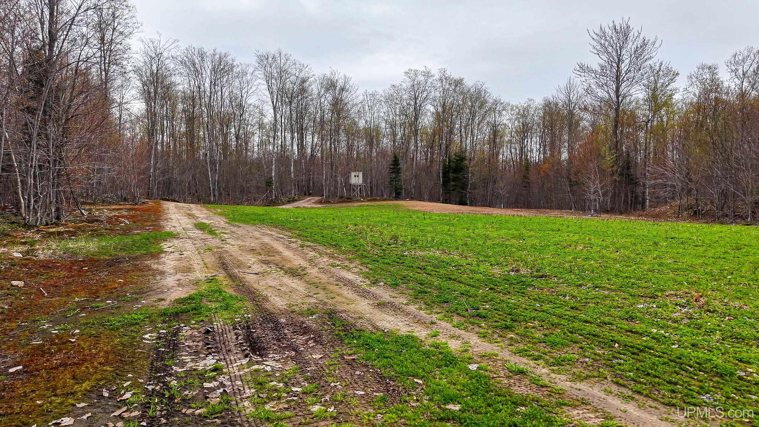 11307 Chesbrough Lake Road Property Photo 32