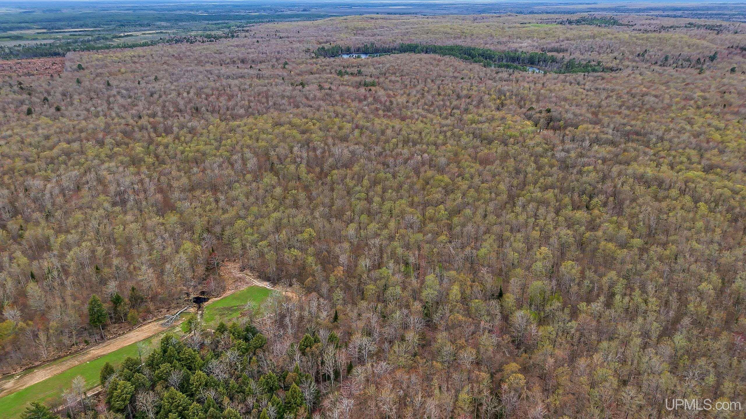 11307 Chesbrough Lake Road Property Photo 36