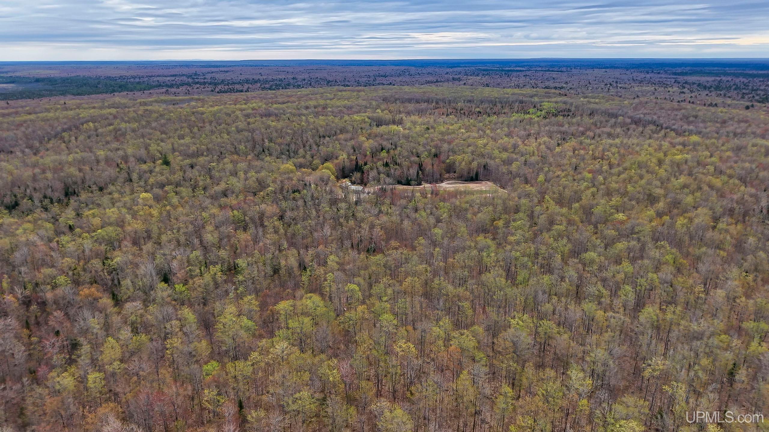 11307 Chesbrough Lake Road Property Photo 37