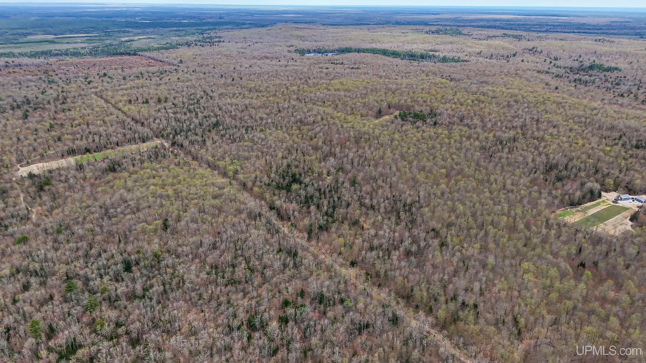 11307 Chesbrough Lake Road Property Photo 39