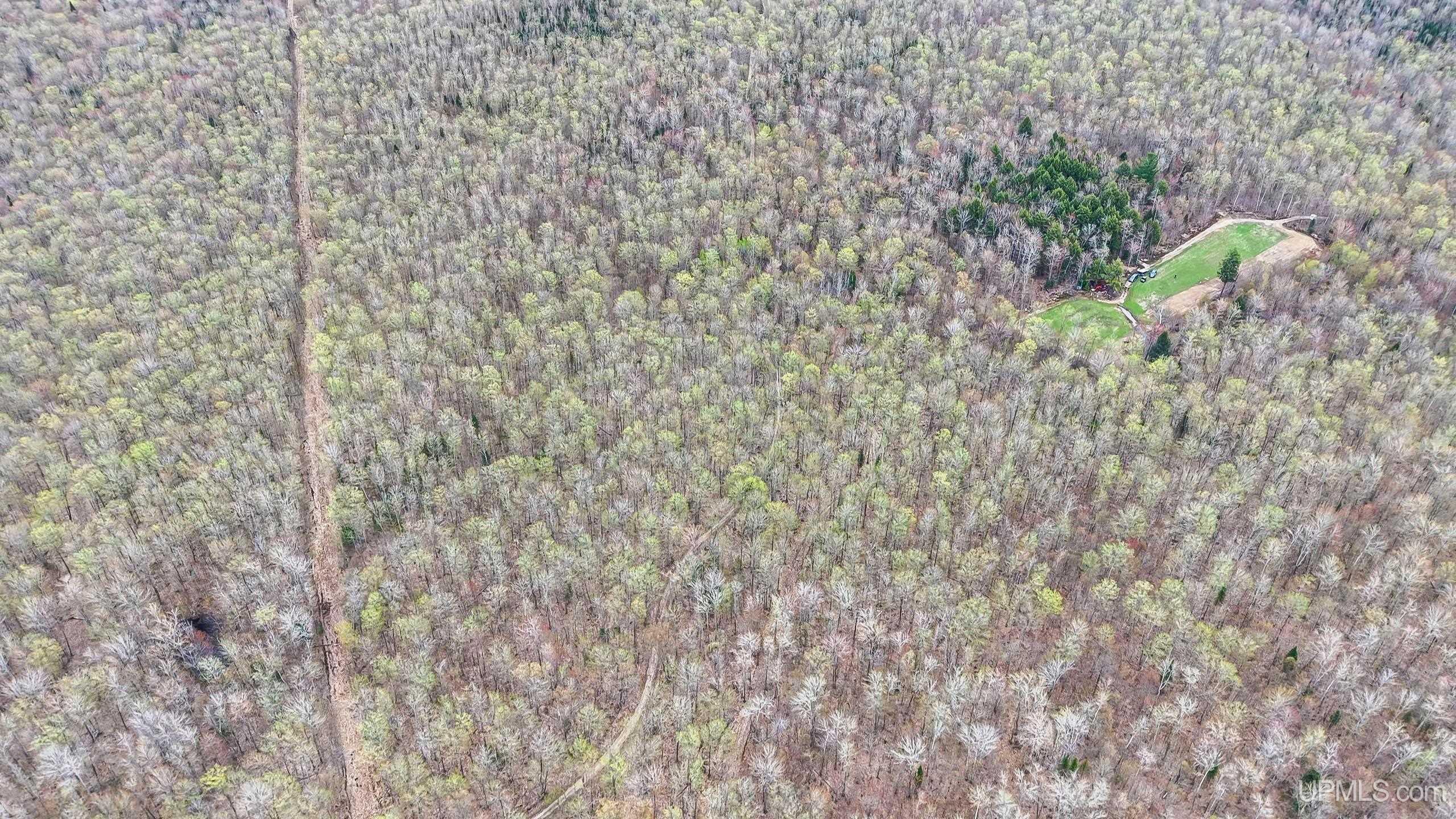 11307 Chesbrough Lake Road Property Photo 41