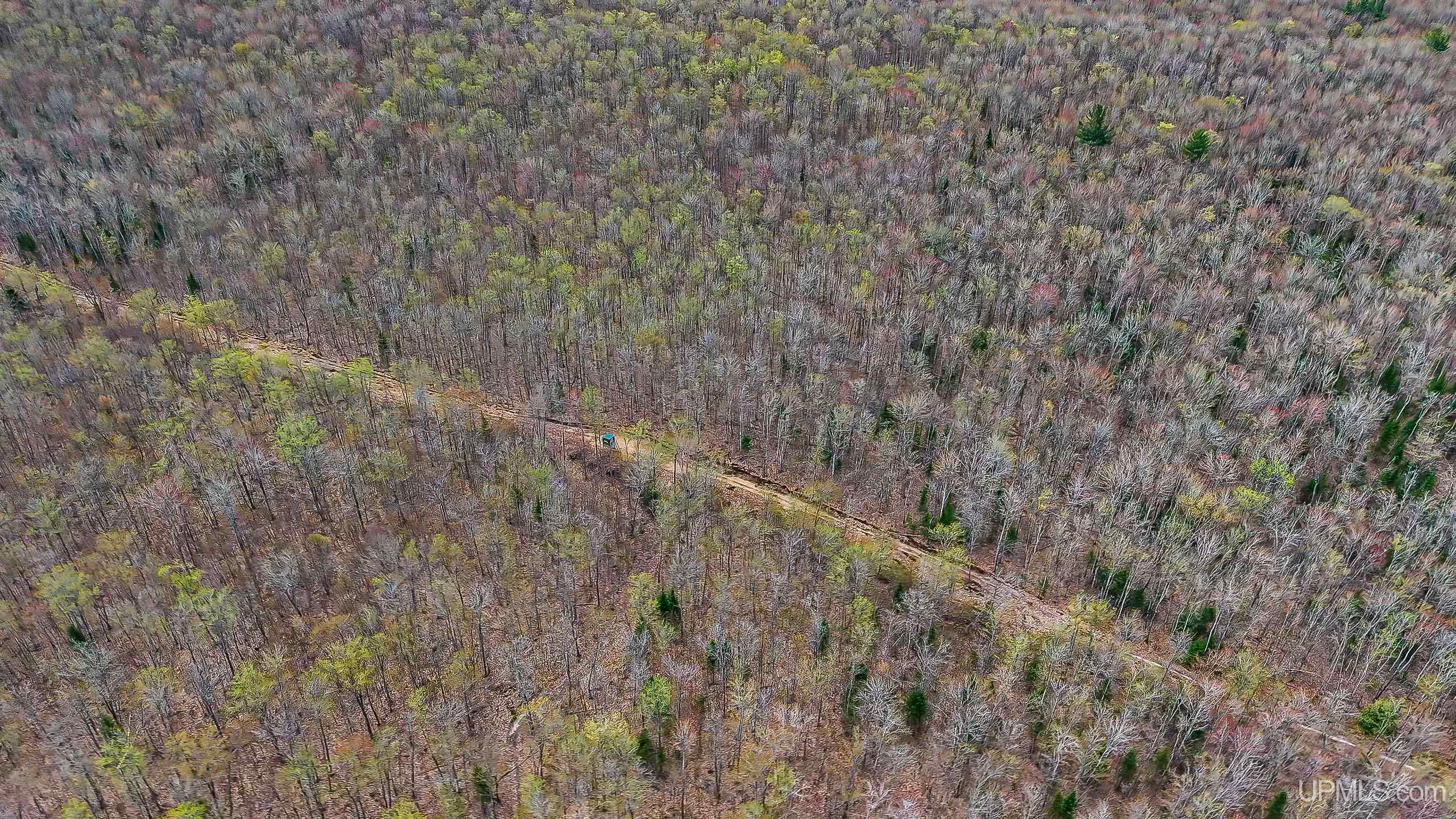 11307 Chesbrough Lake Road Property Photo 42