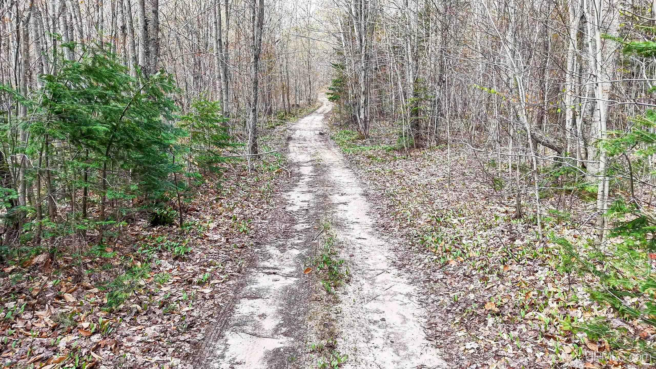 11307 Chesbrough Lake Road Property Photo 43