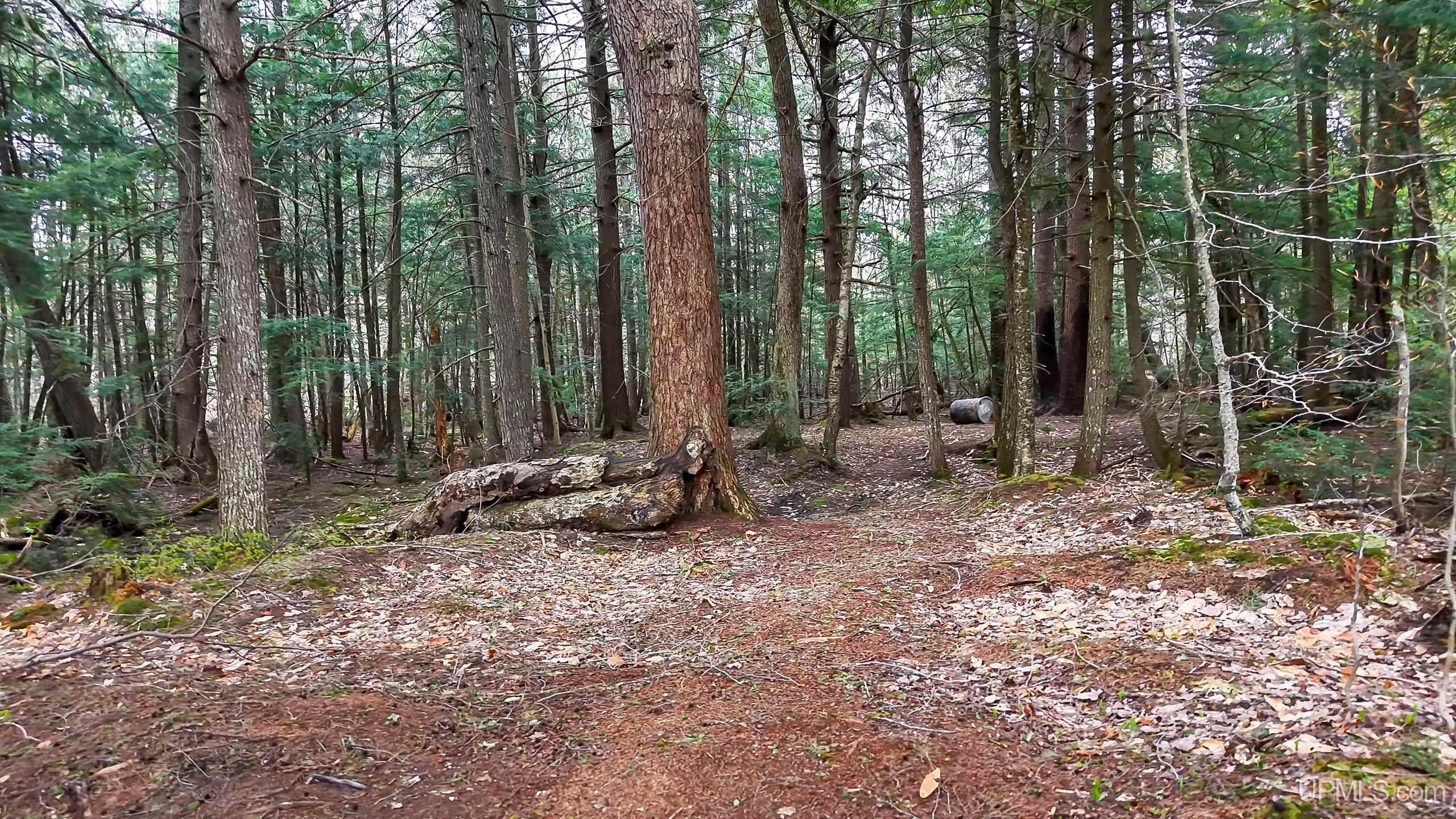 11307 Chesbrough Lake Road Property Photo 45