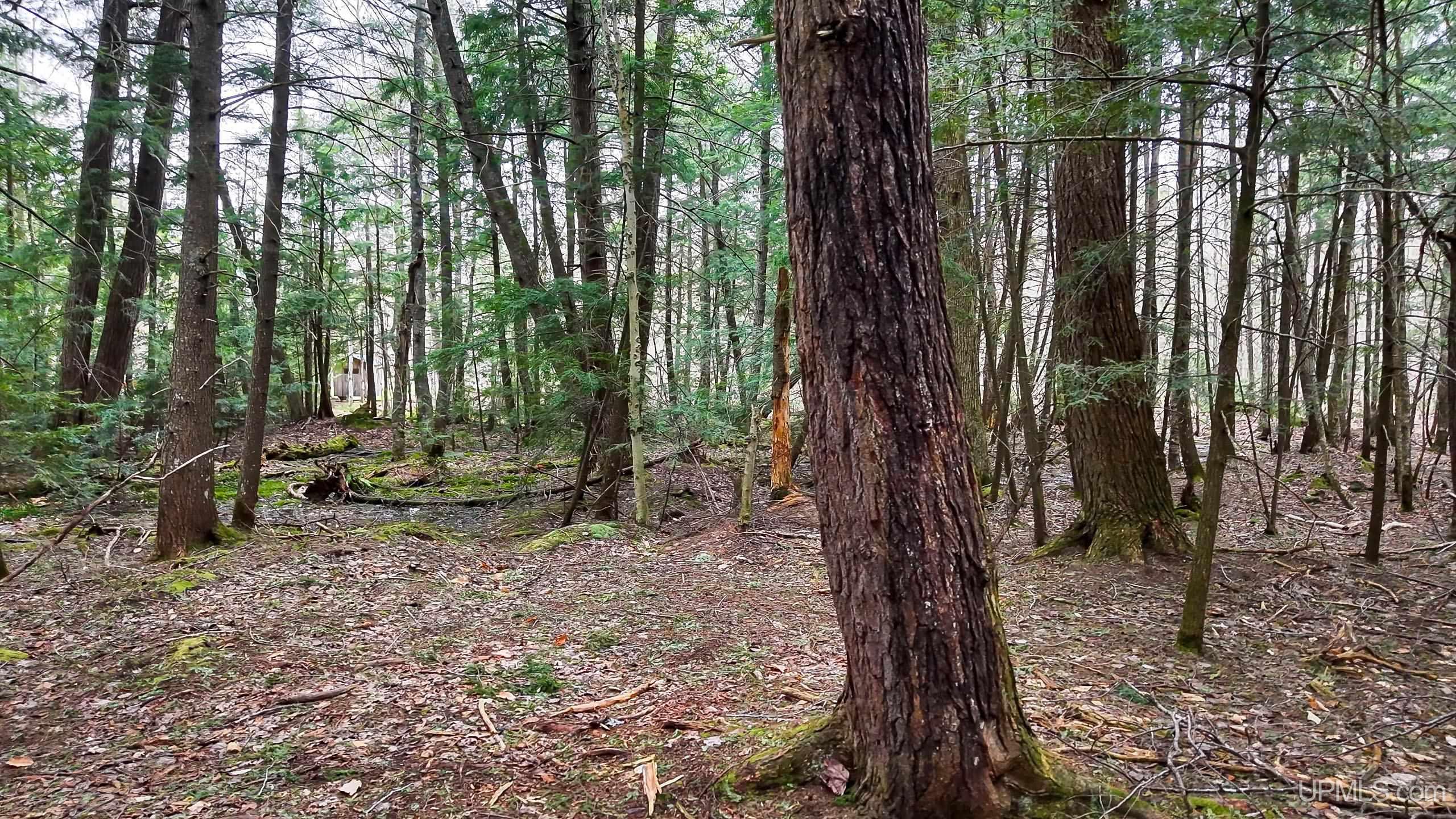11307 Chesbrough Lake Road Property Photo 46