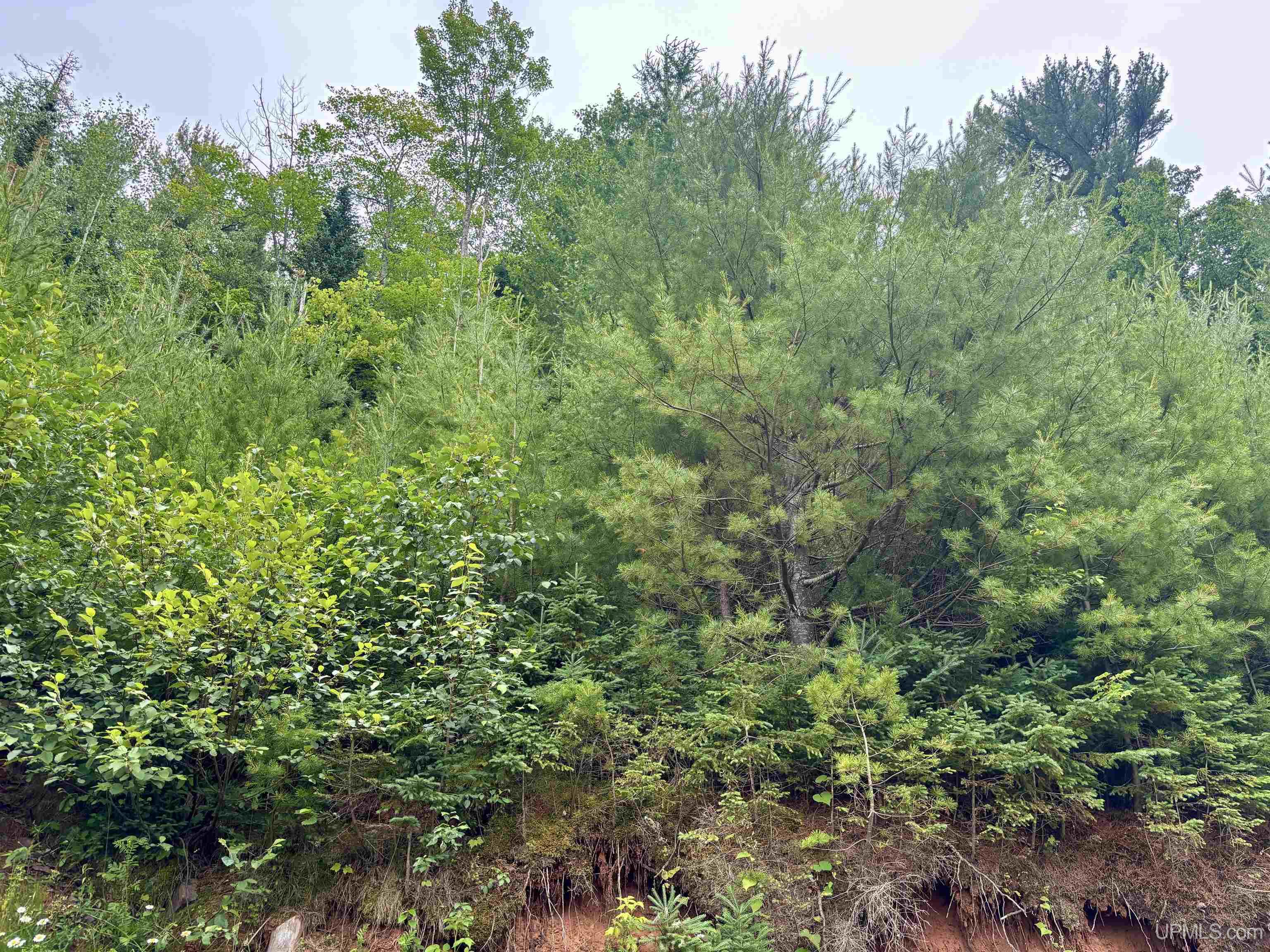 1051 Suncliffe Drive Property Photo 8