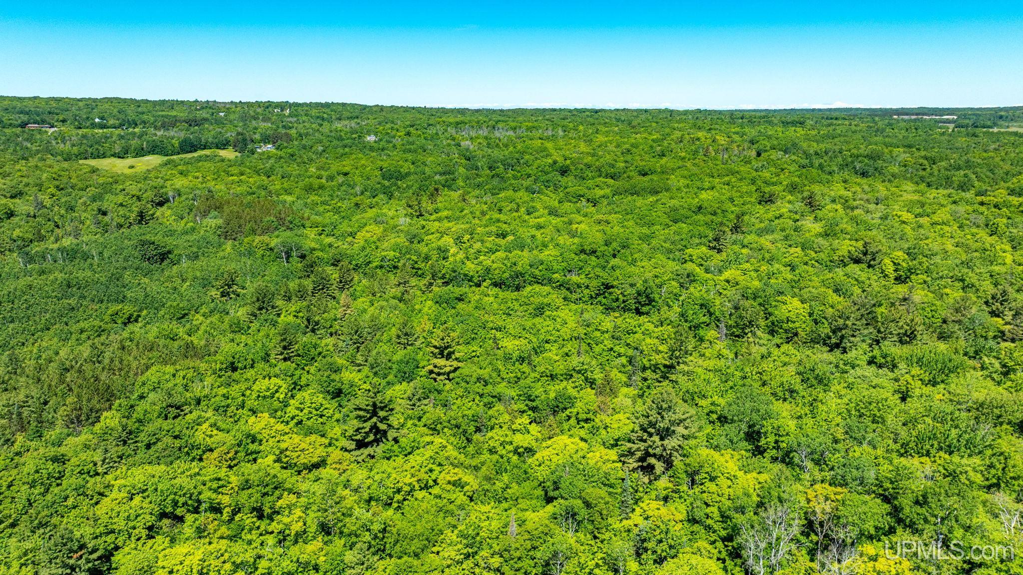 TBD 1 Forsman Road Property Photo 1