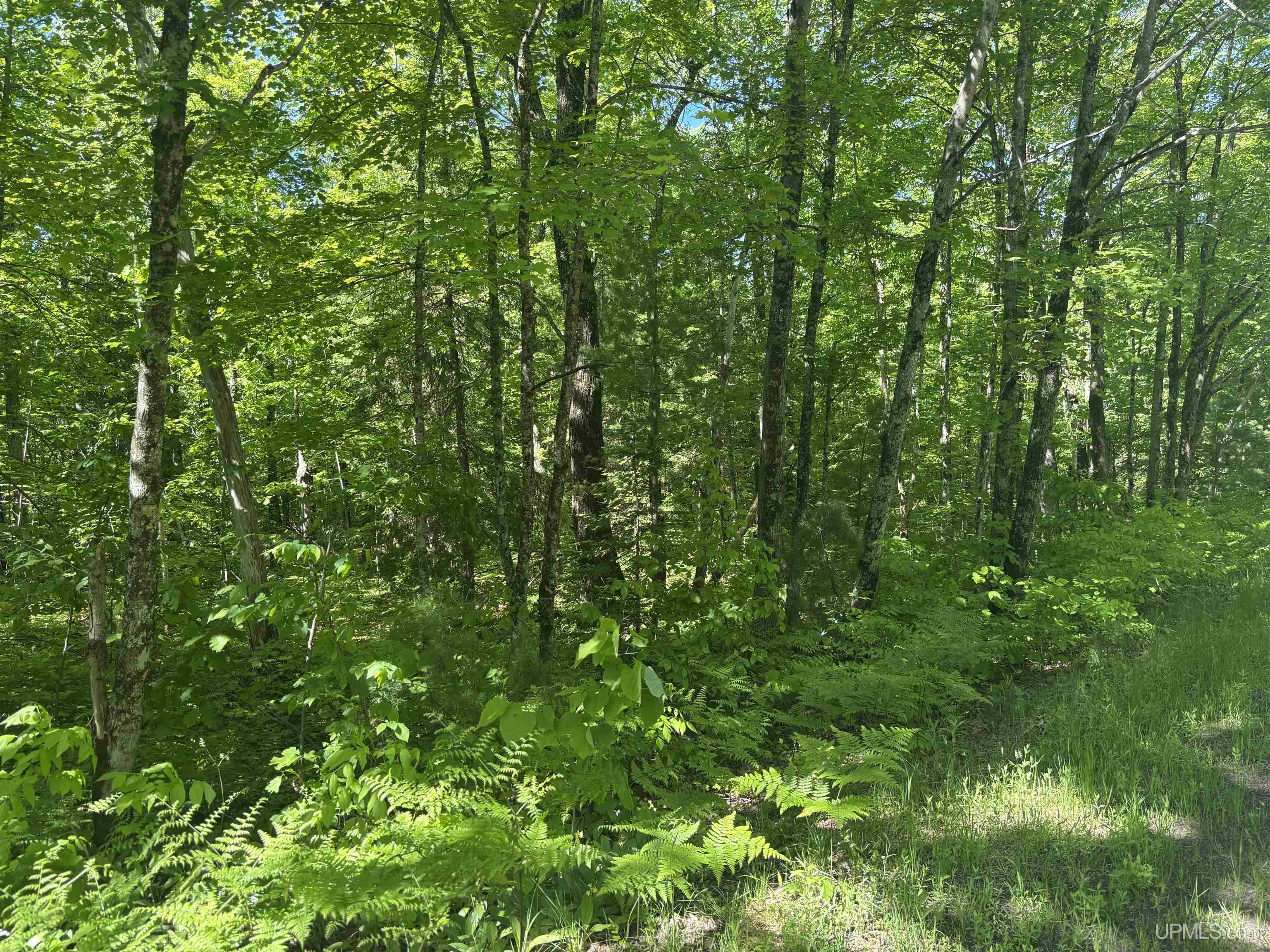 Tbd 1 Forsman Road Property Photo 14
