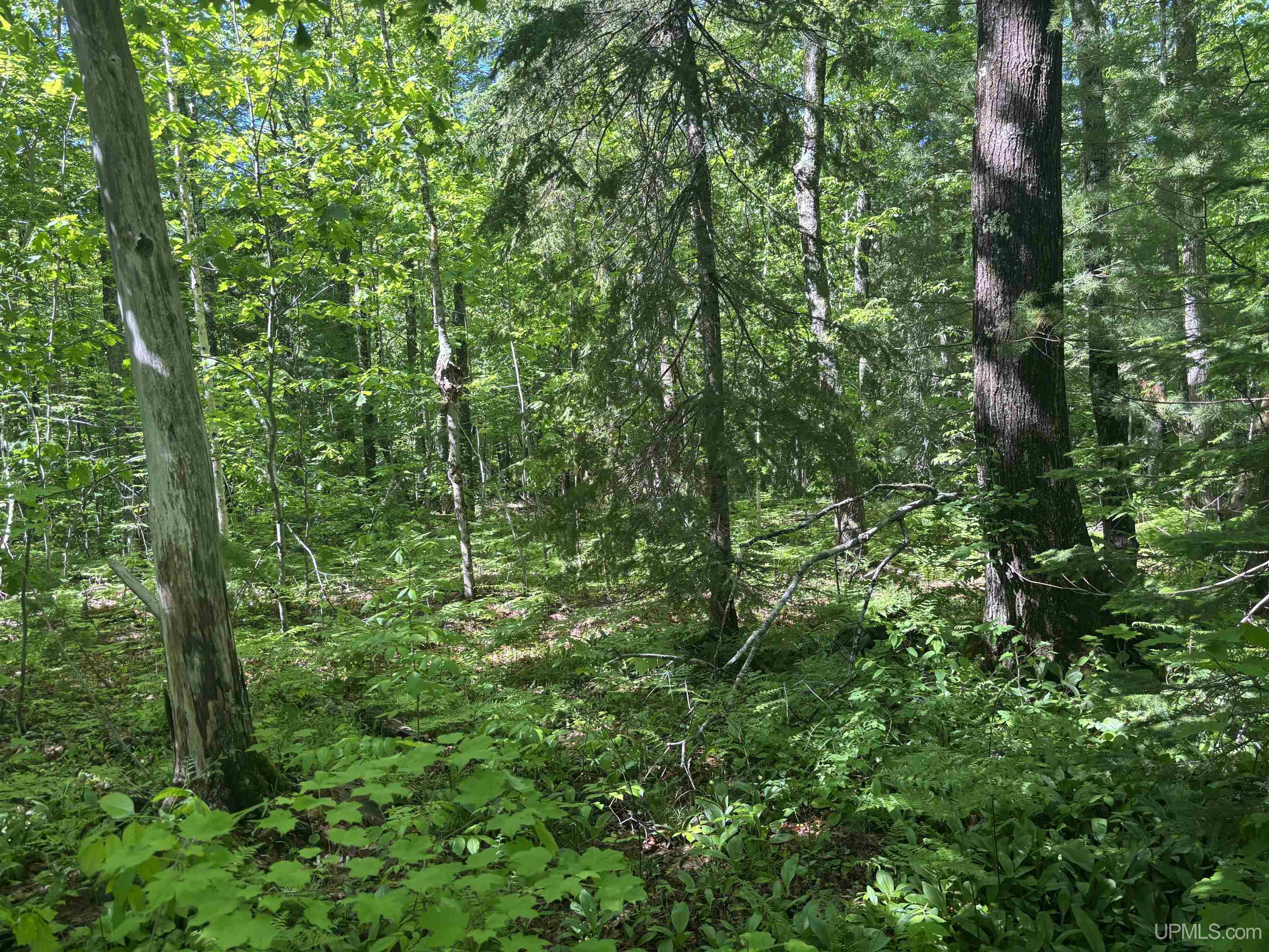 Tbd 1 Forsman Road Property Photo 17