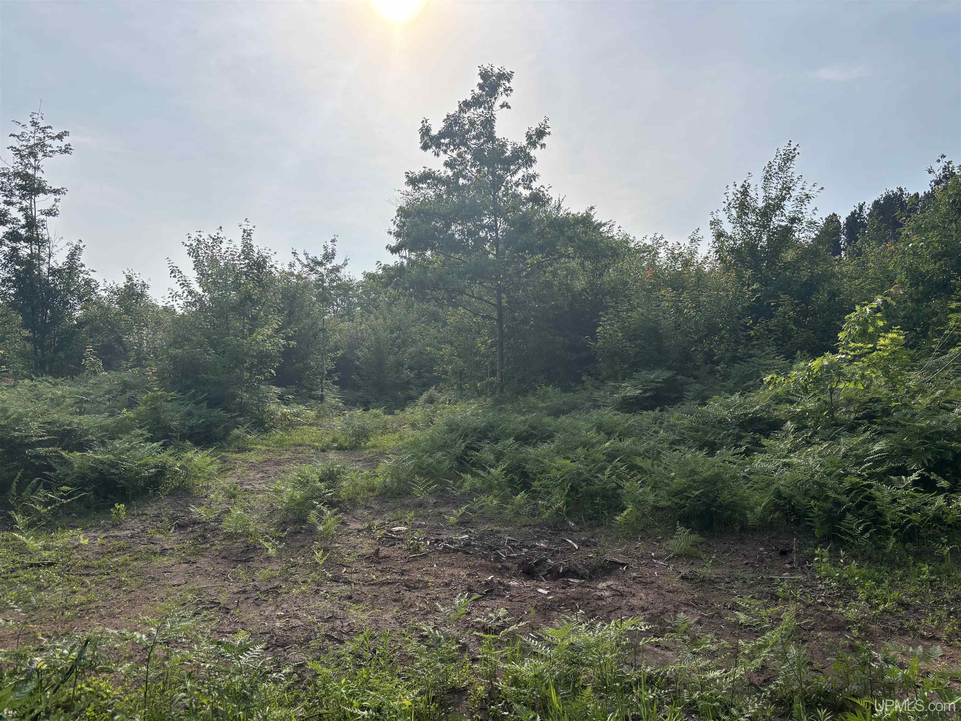 Tbd 3 Forsman Road Property Photo 8