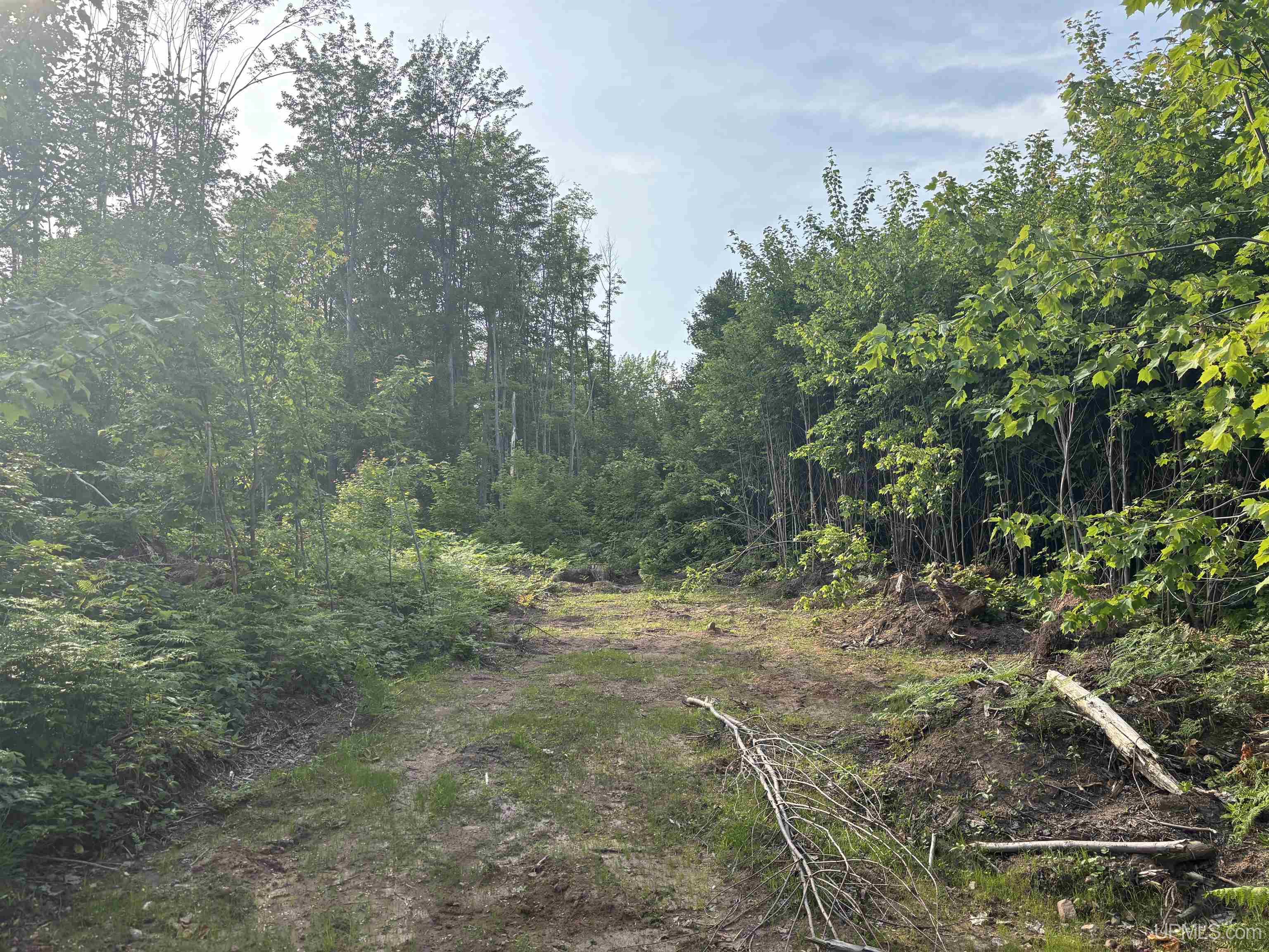Tbd 3 Forsman Road Property Photo 10
