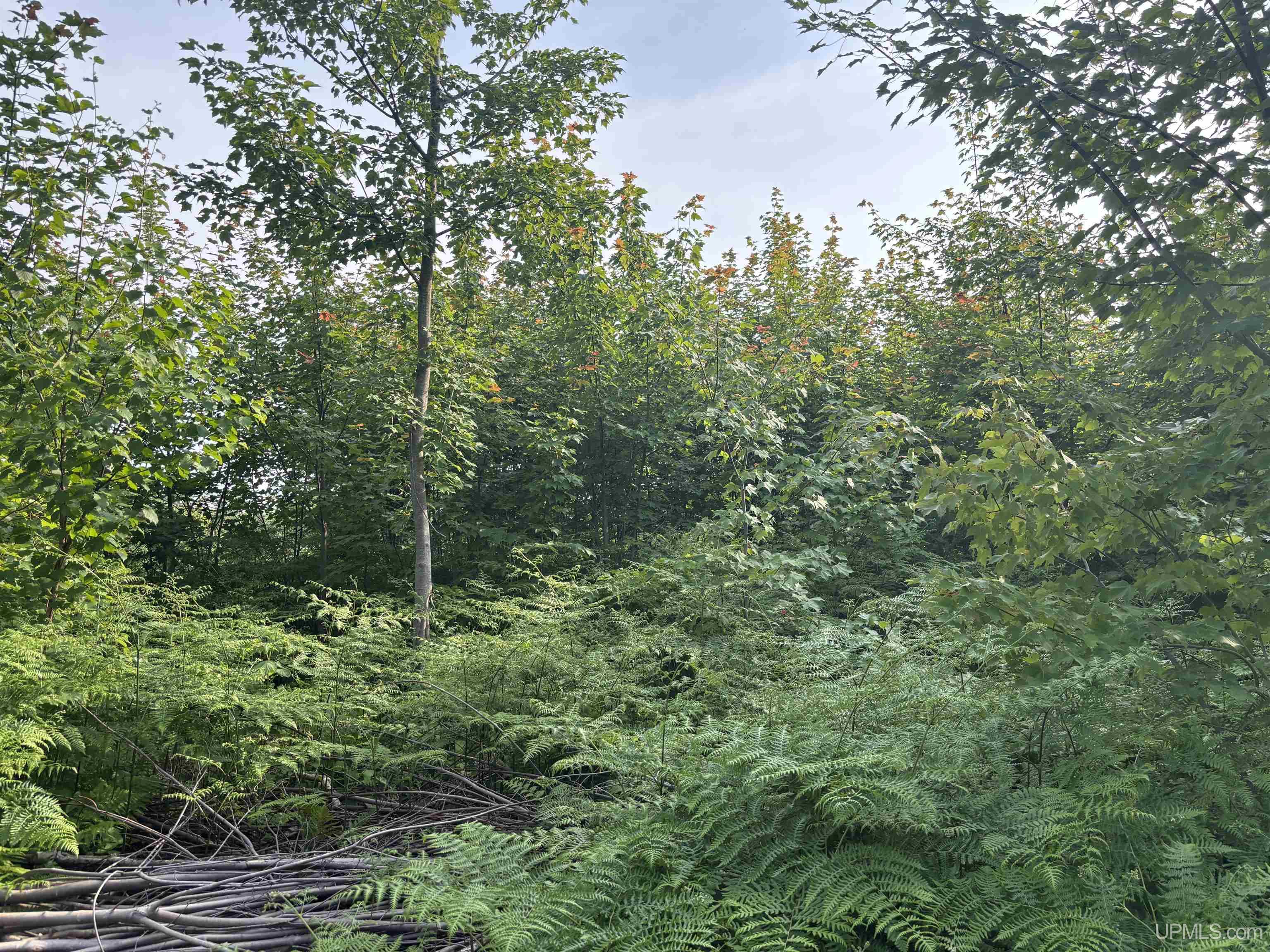 Tbd 3 Forsman Road Property Photo 11