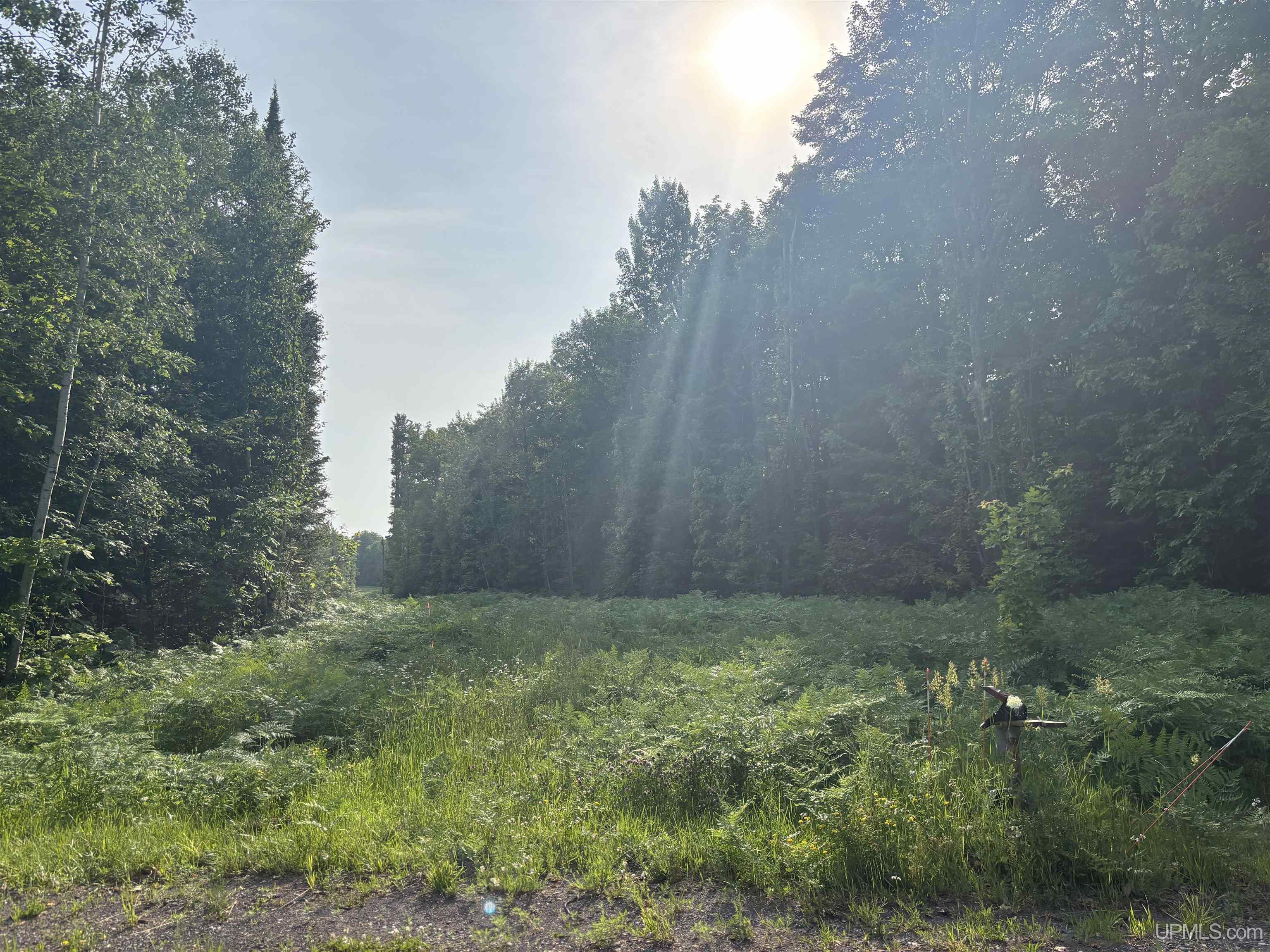 Tbd 3 Forsman Road Property Photo 14