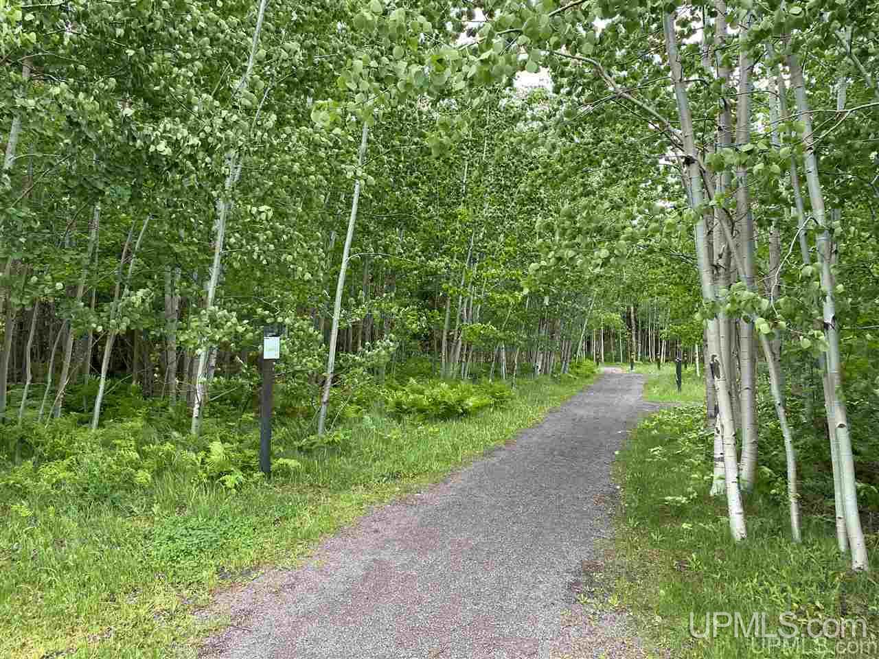 255 Gratiot Street Property Photo 44