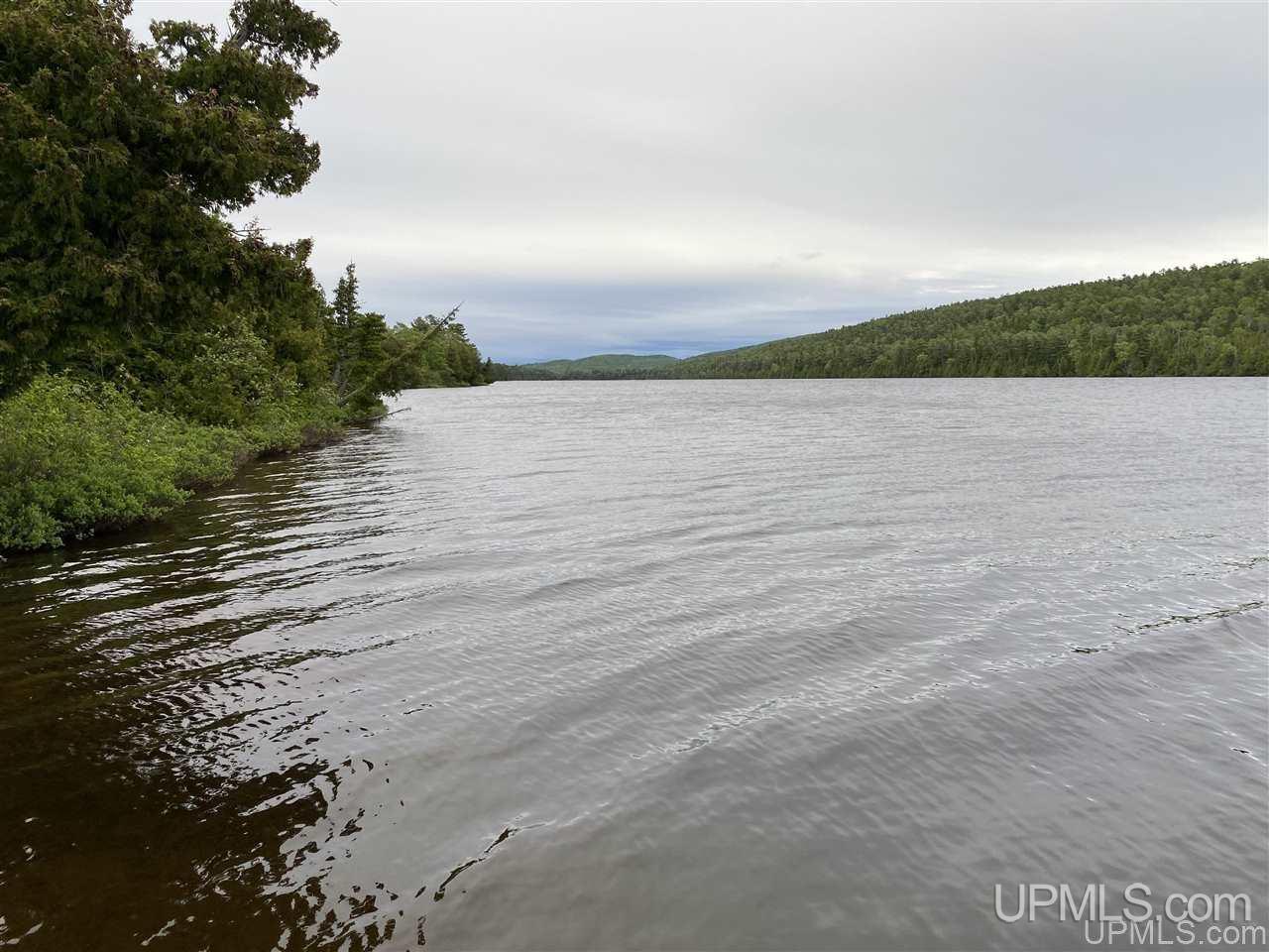 255 Gratiot Street Property Photo 50