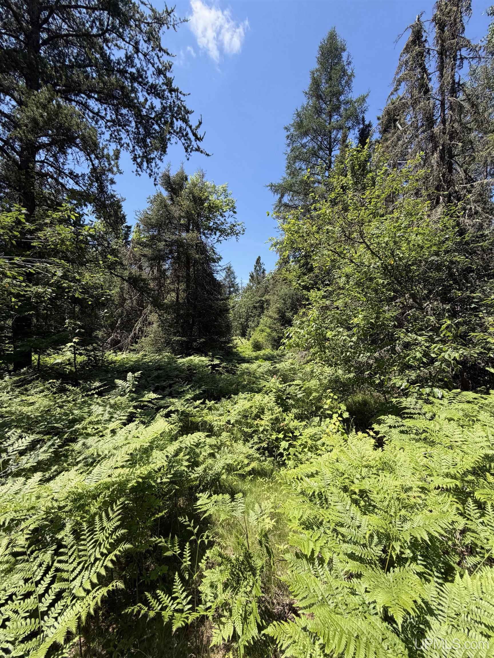 Tbd Red Road Property Photo 1