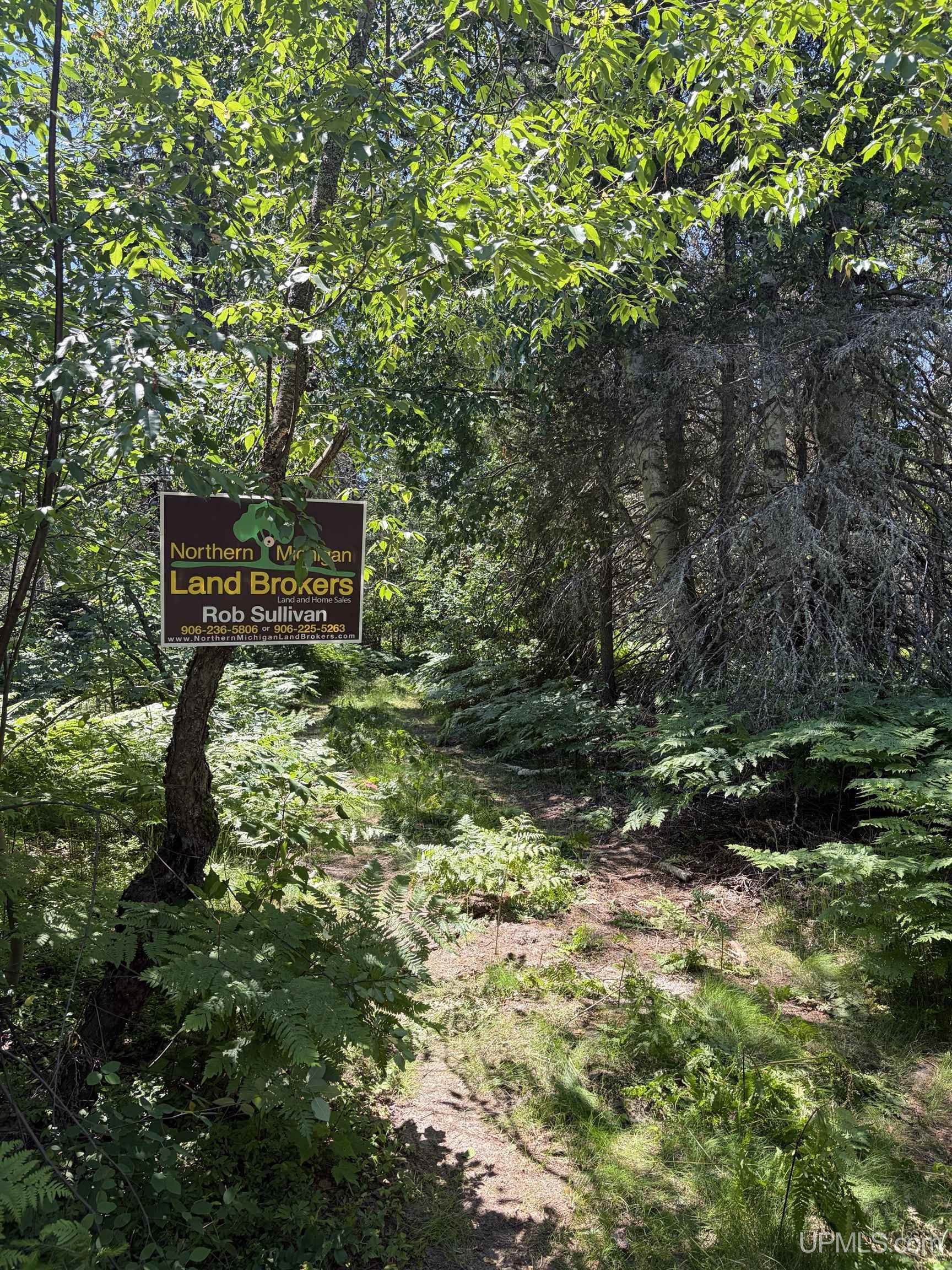 Tbd Red Road Property Photo 6