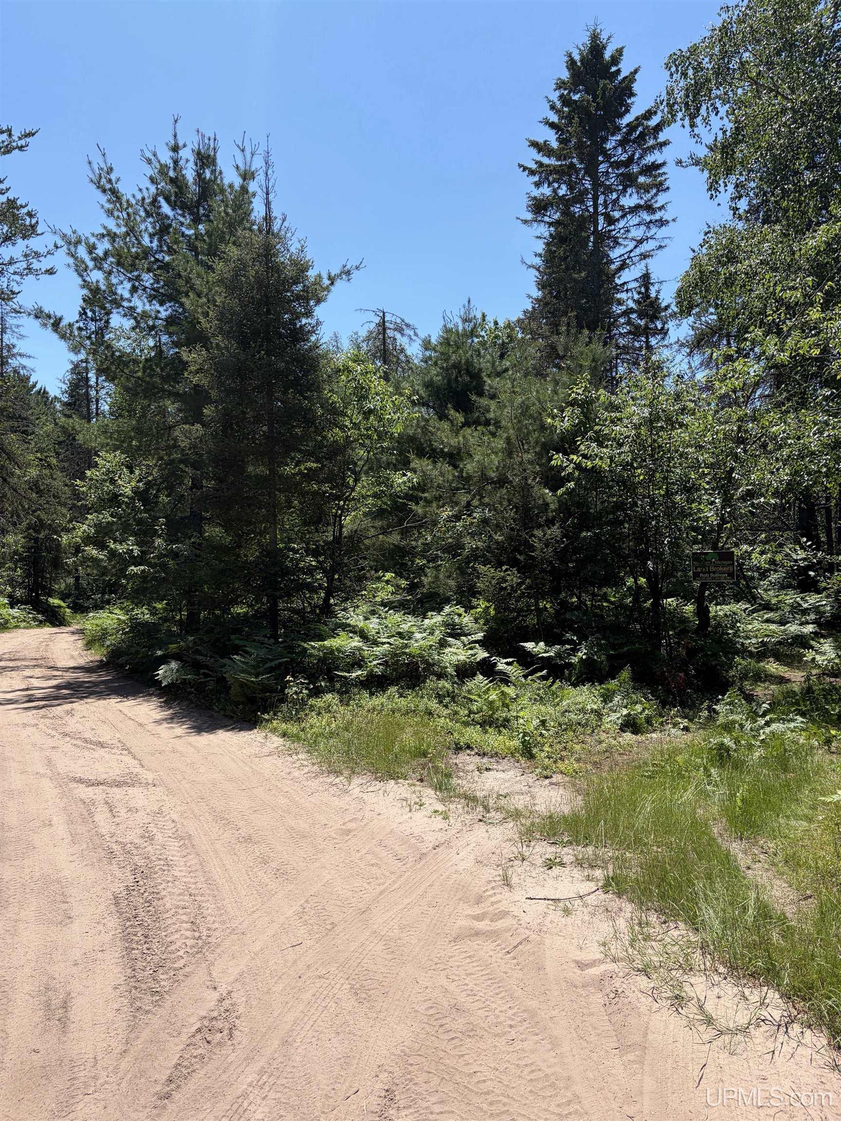 Tbd Red Road Property Photo 7