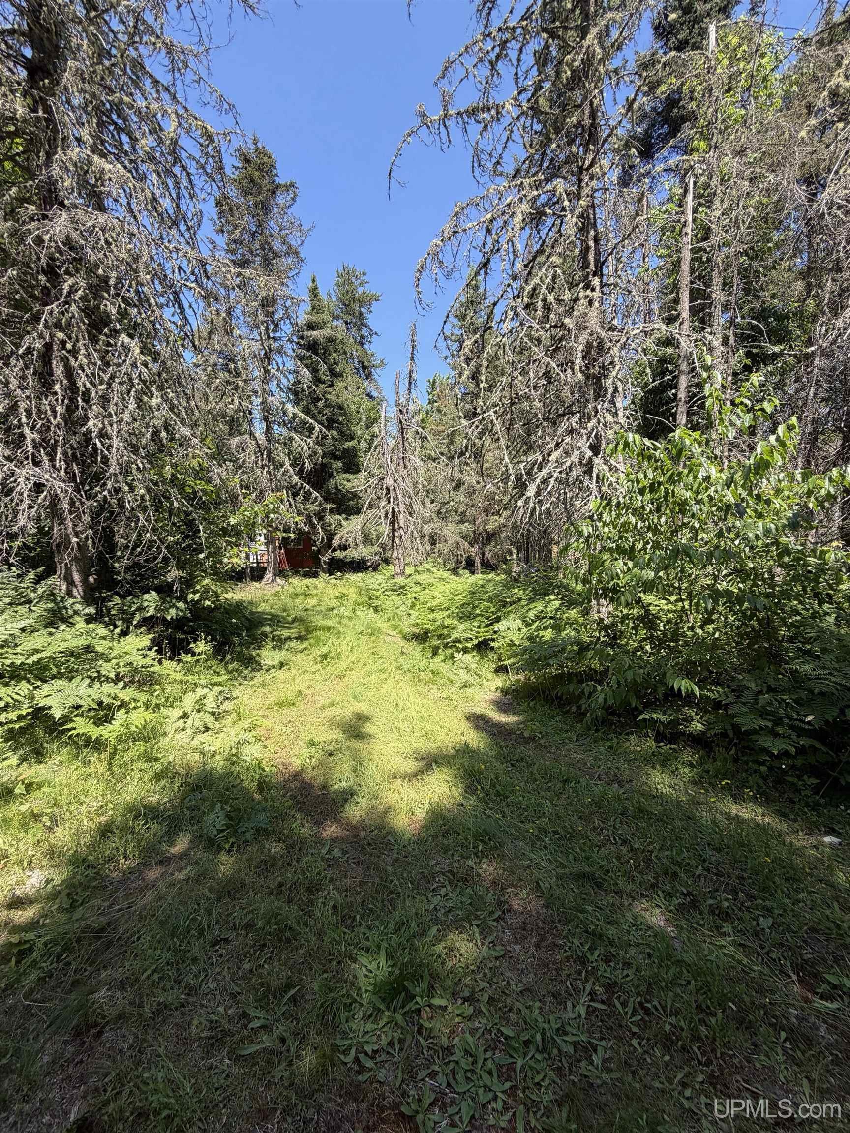 Tbd Red Road Property Photo 8