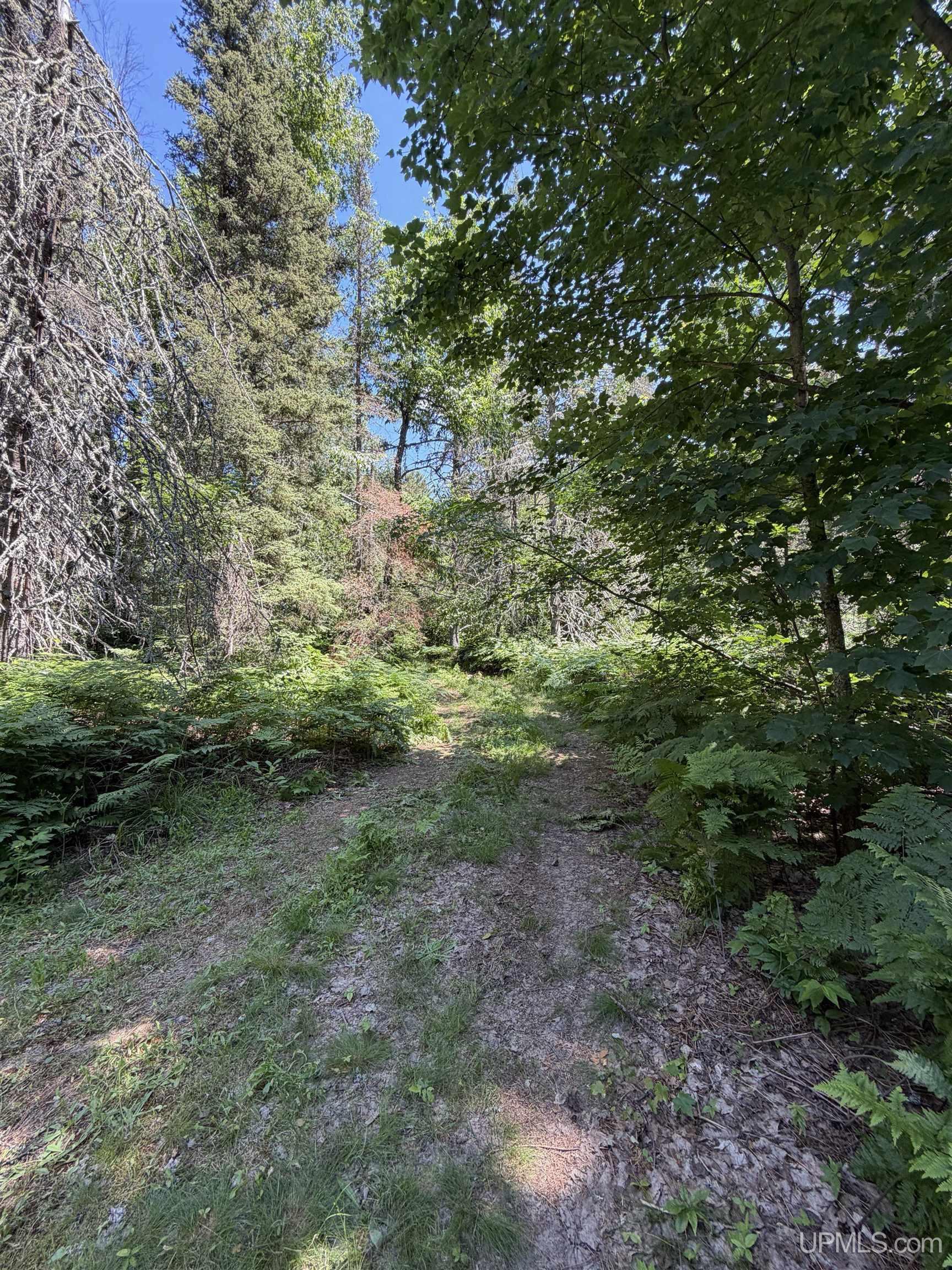 Tbd Red Road Property Photo 9