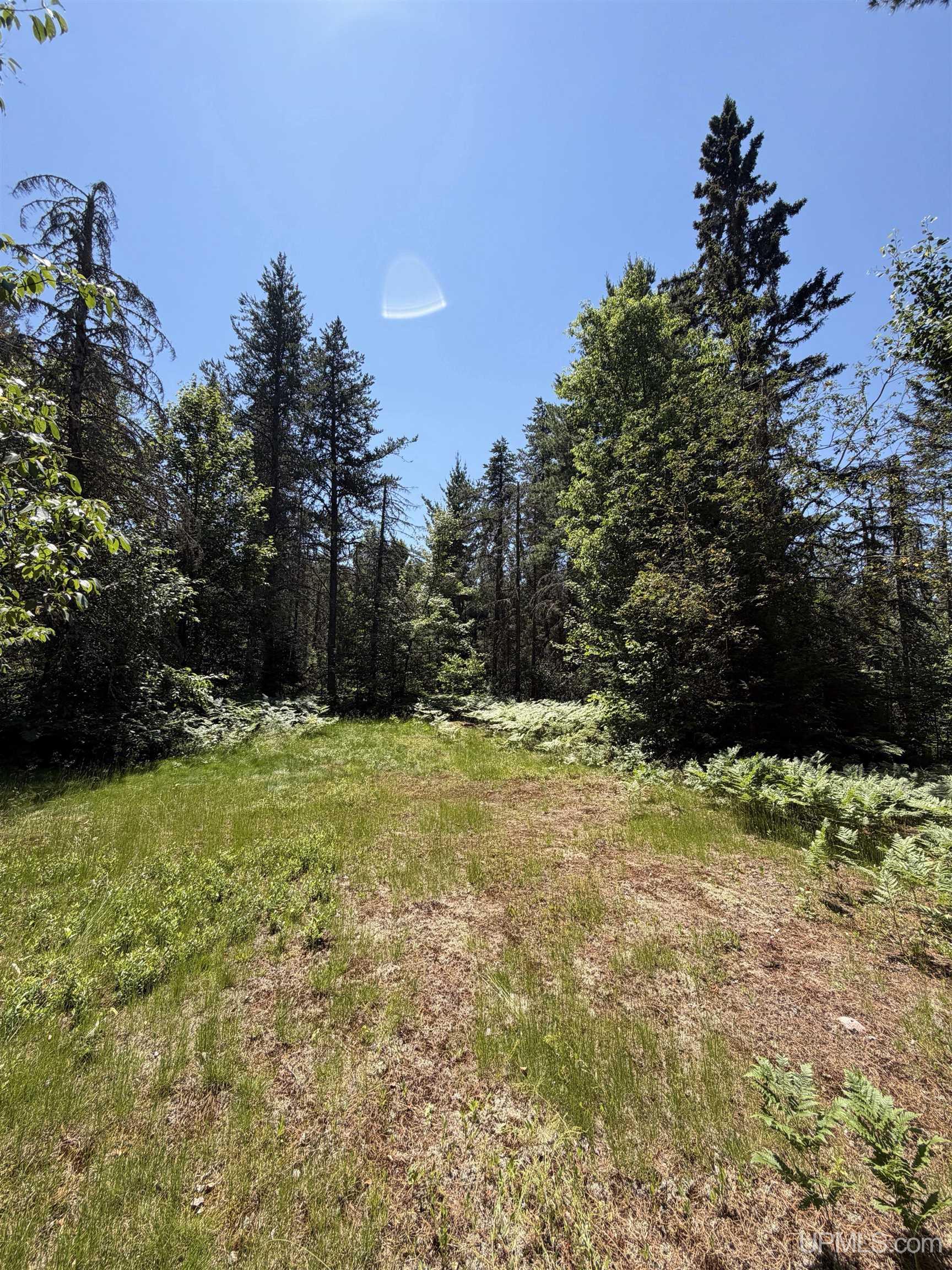 Tbd Red Road Property Photo 10