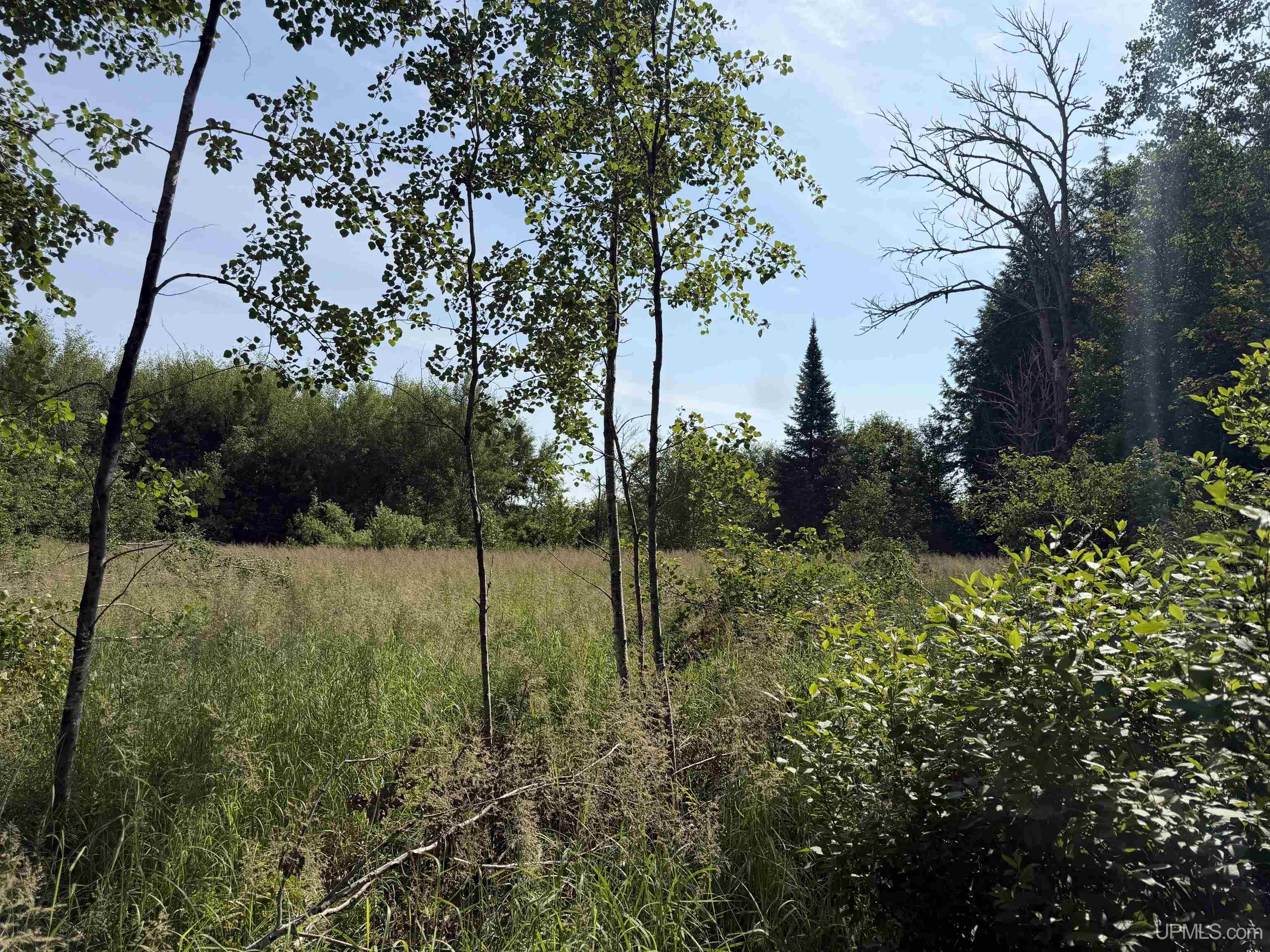 Tbd Gristmill Road Property Photo 1