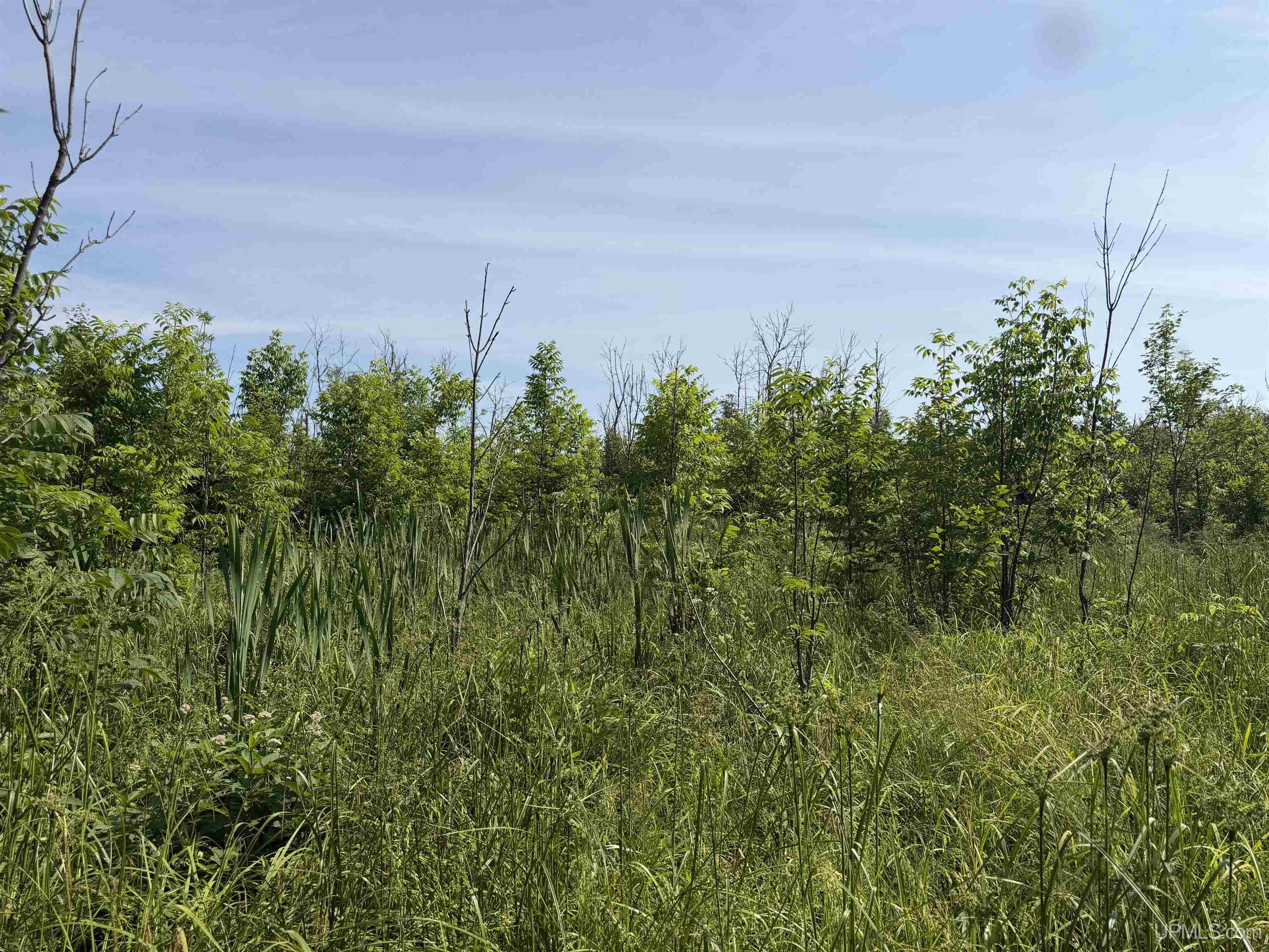 Tbd Gristmill Road Property Photo 2