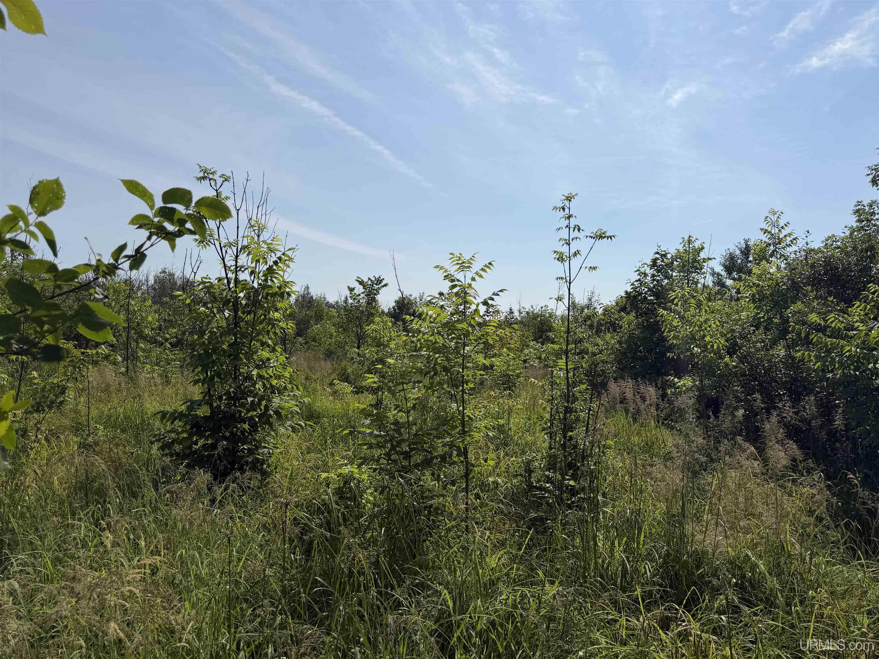 Tbd Gristmill Road Property Photo 3
