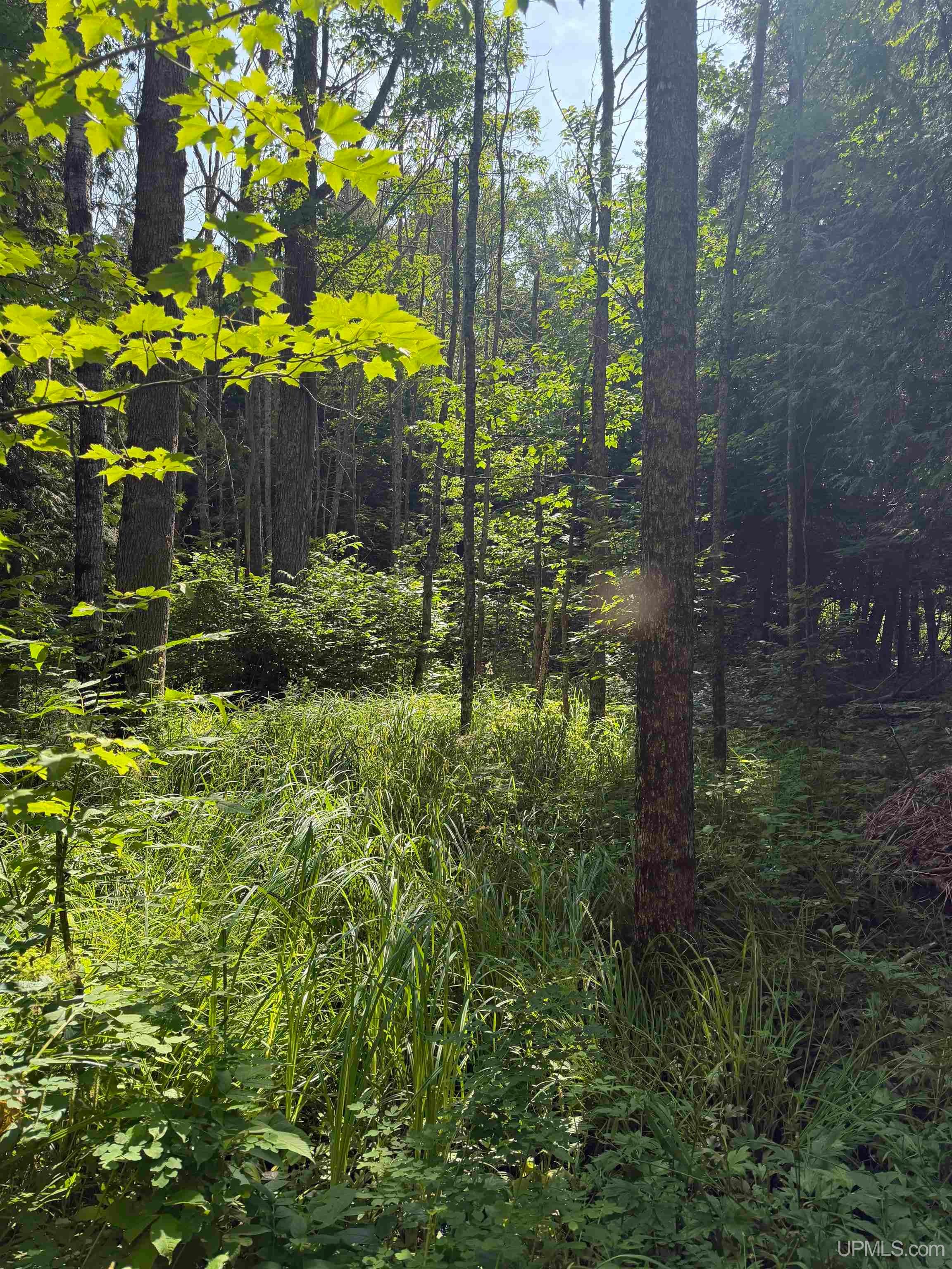 Tbd Gristmill Road Property Photo 4