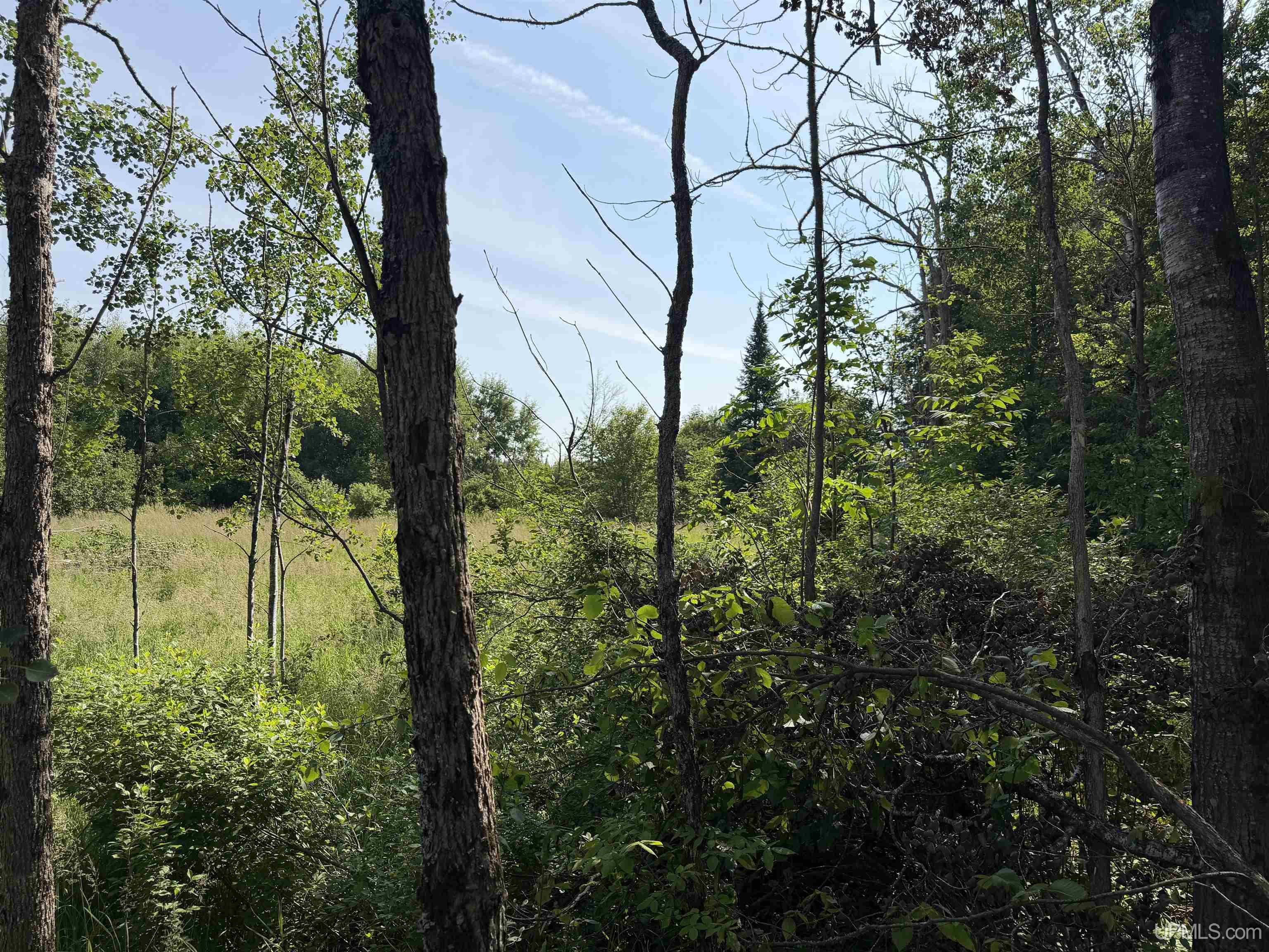 Tbd Gristmill Road Property Photo 5
