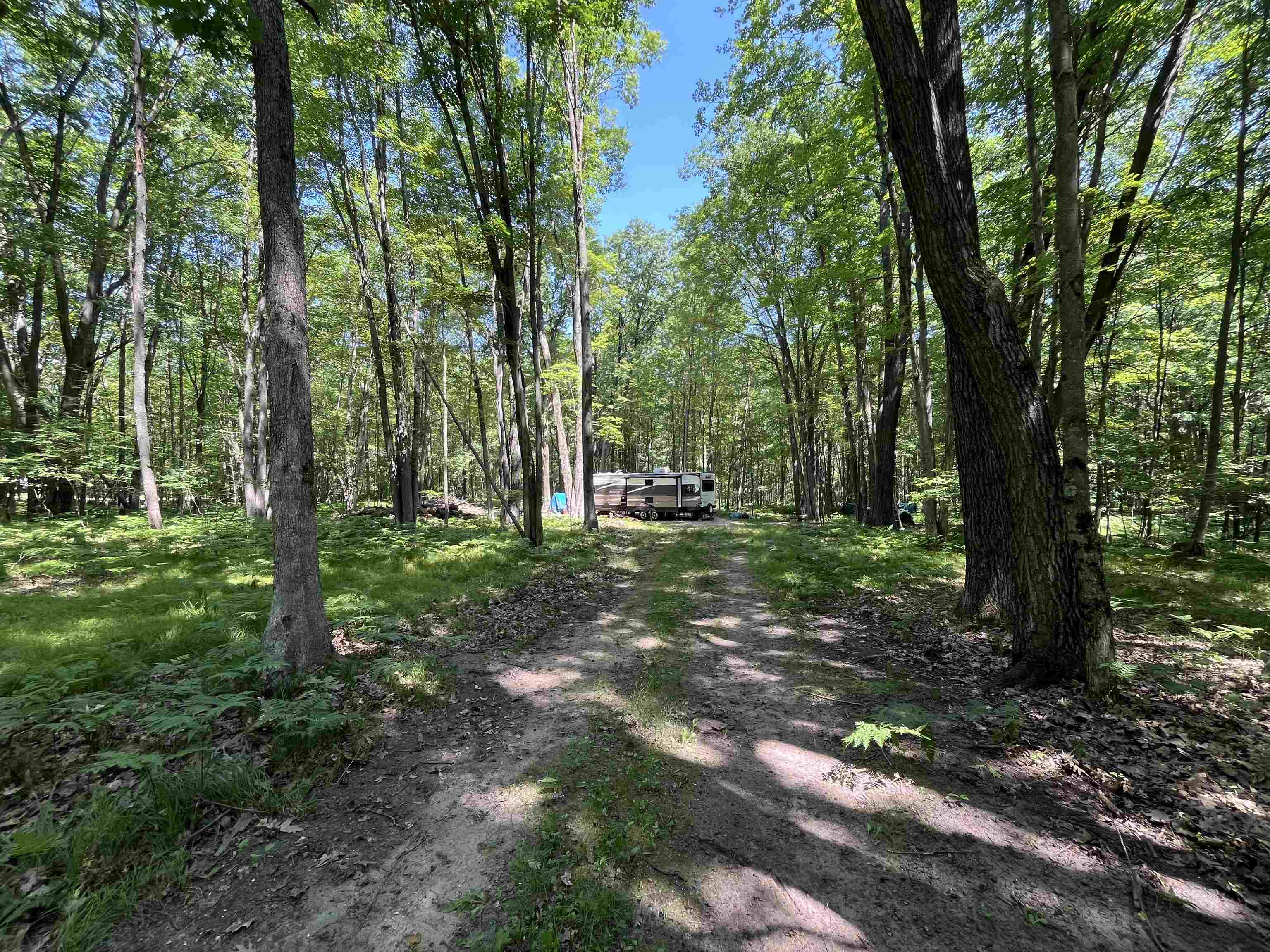 1031 Spruce Hill Drive Property Photo 2