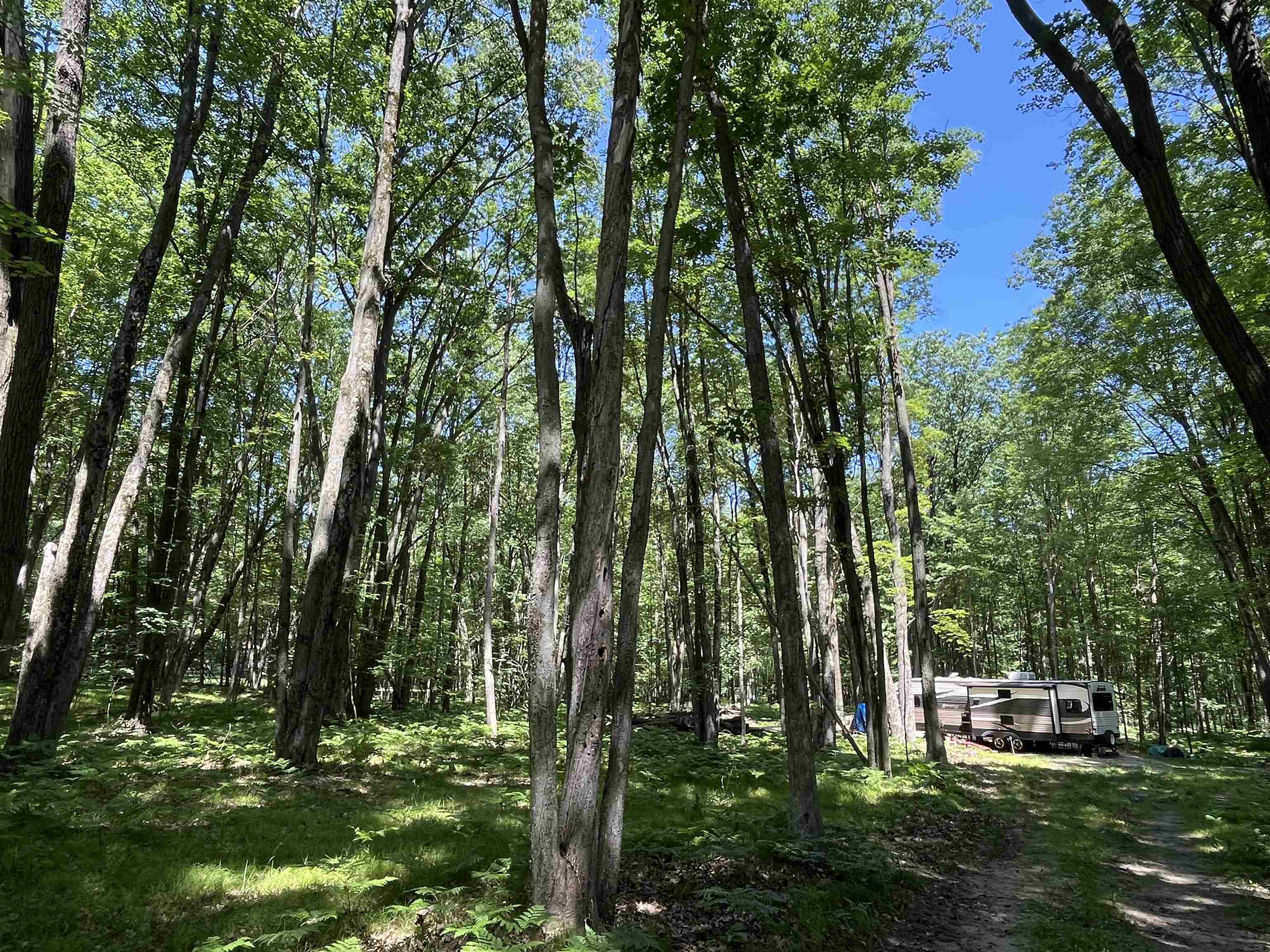 1031 Spruce Hill Drive Property Photo 3