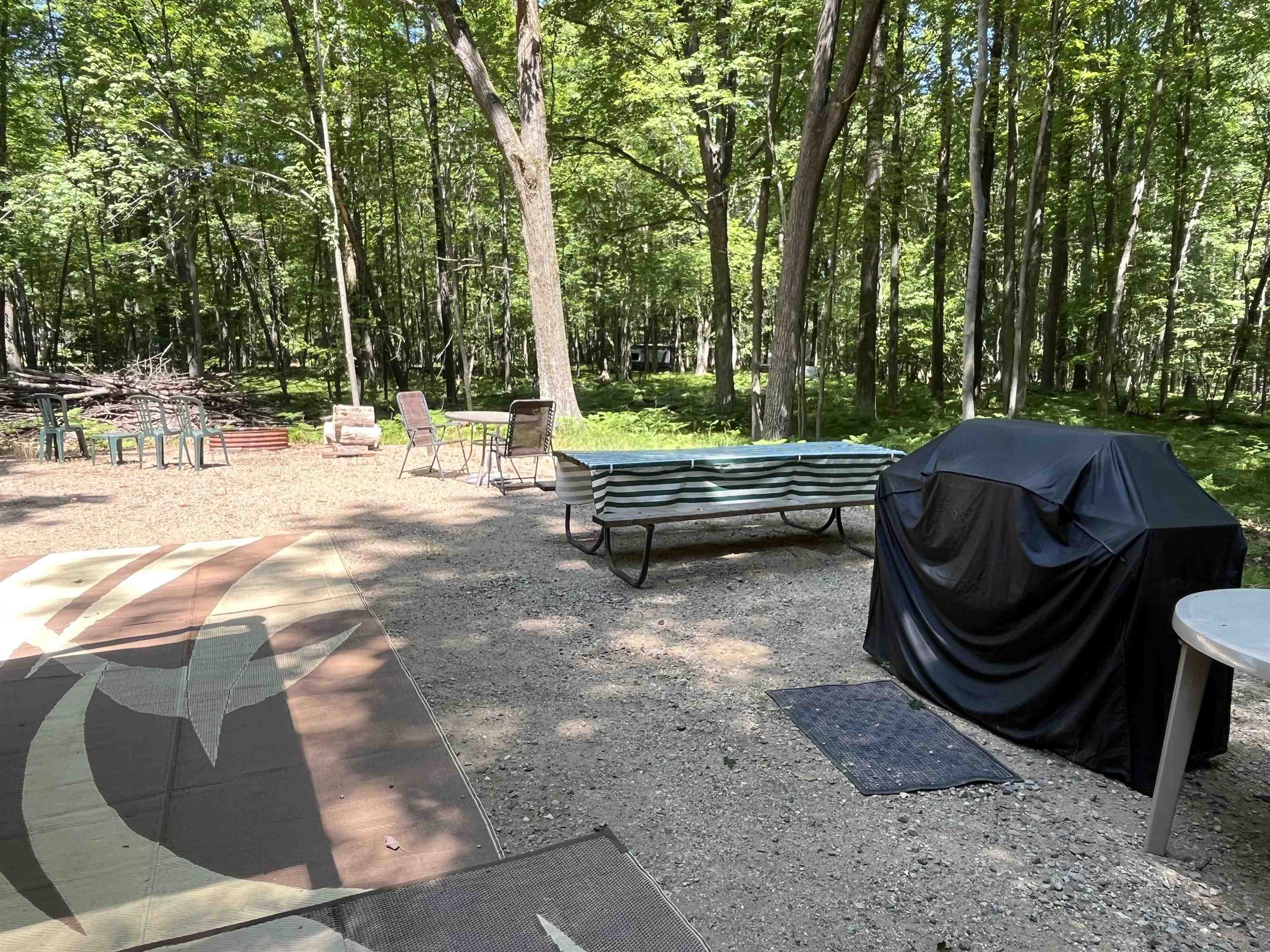 1031 Spruce Hill Drive Property Photo 5