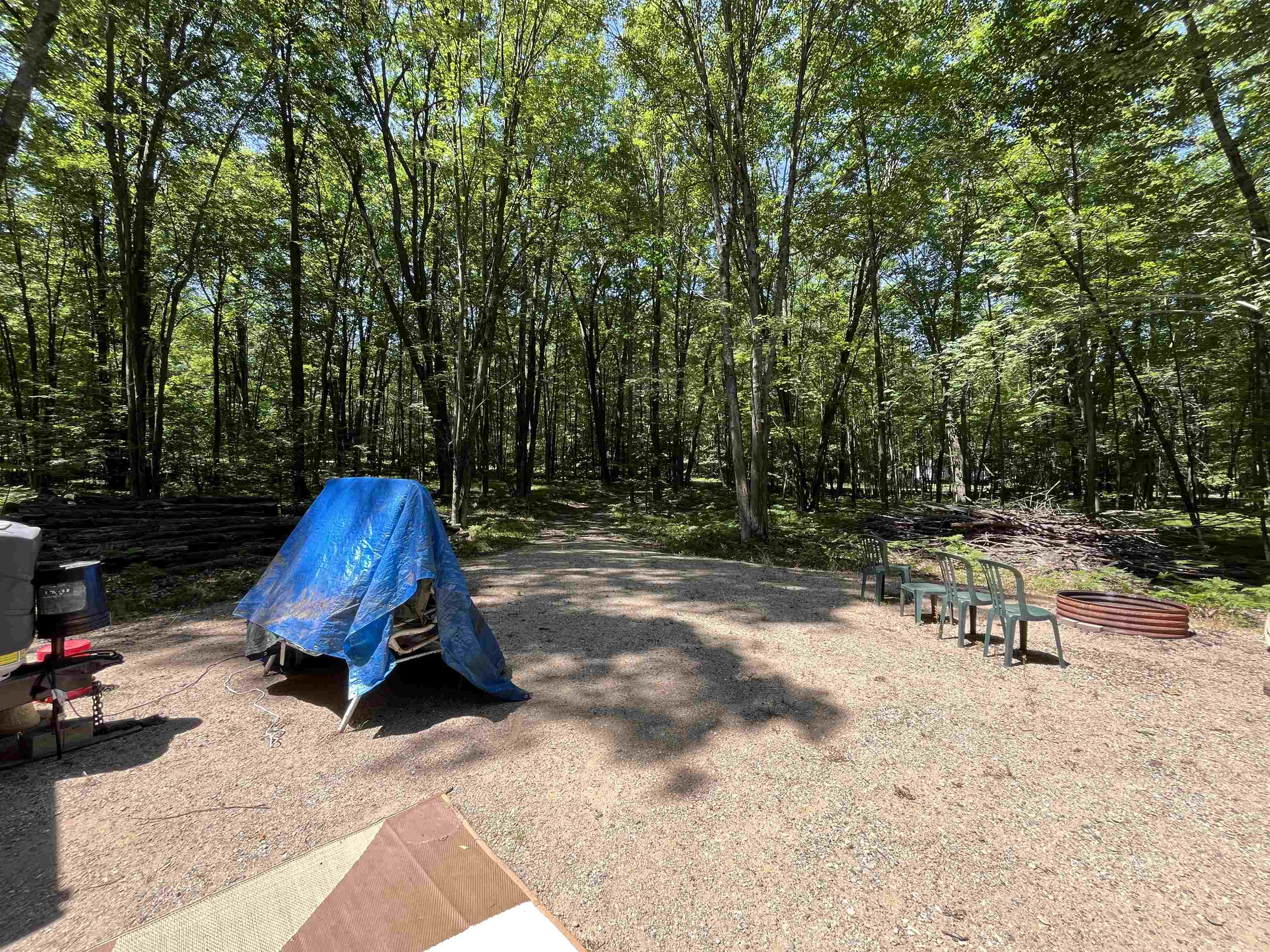 1031 Spruce Hill Drive Property Photo 6