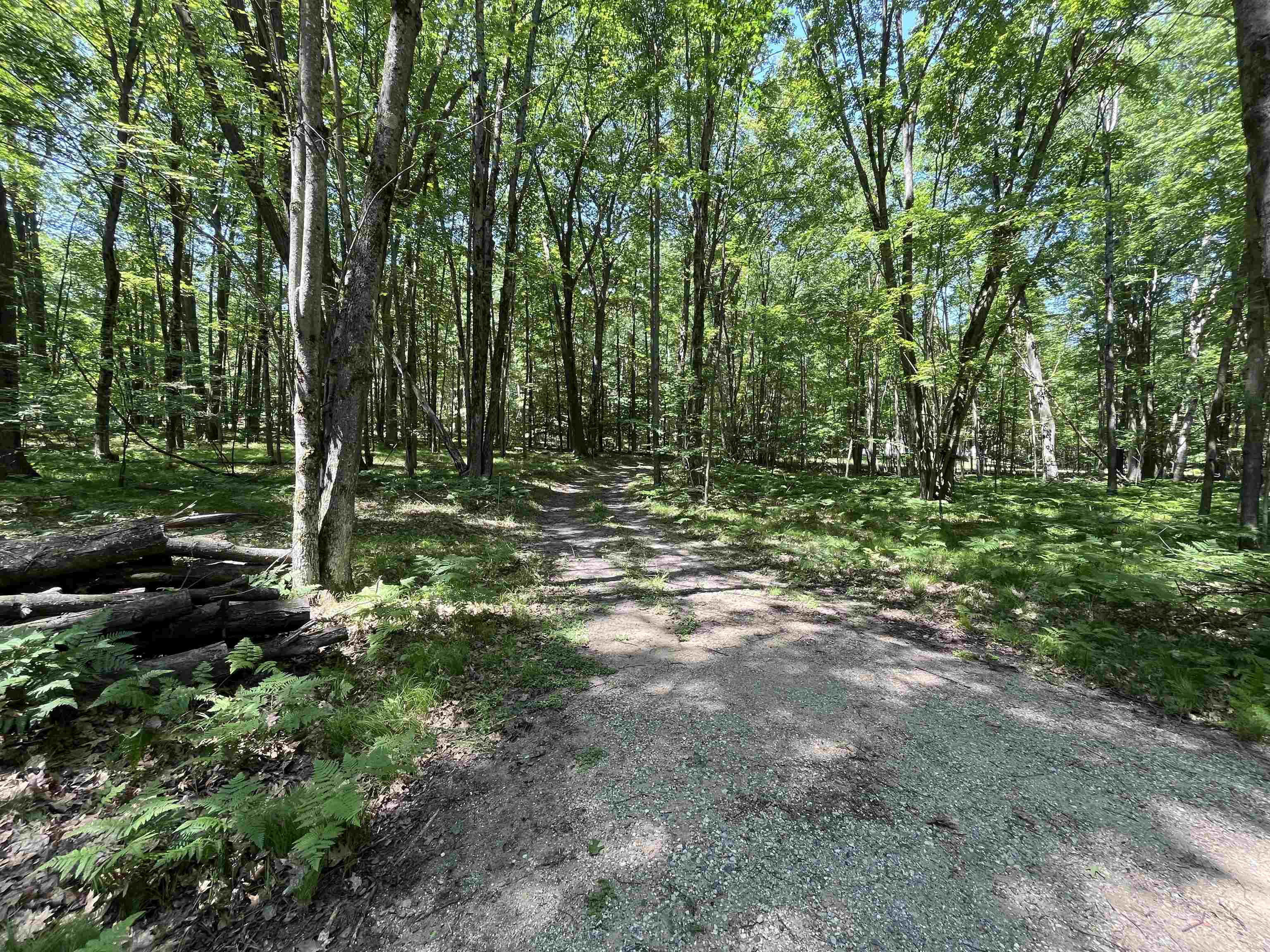 1031 Spruce Hill Drive Property Photo 11