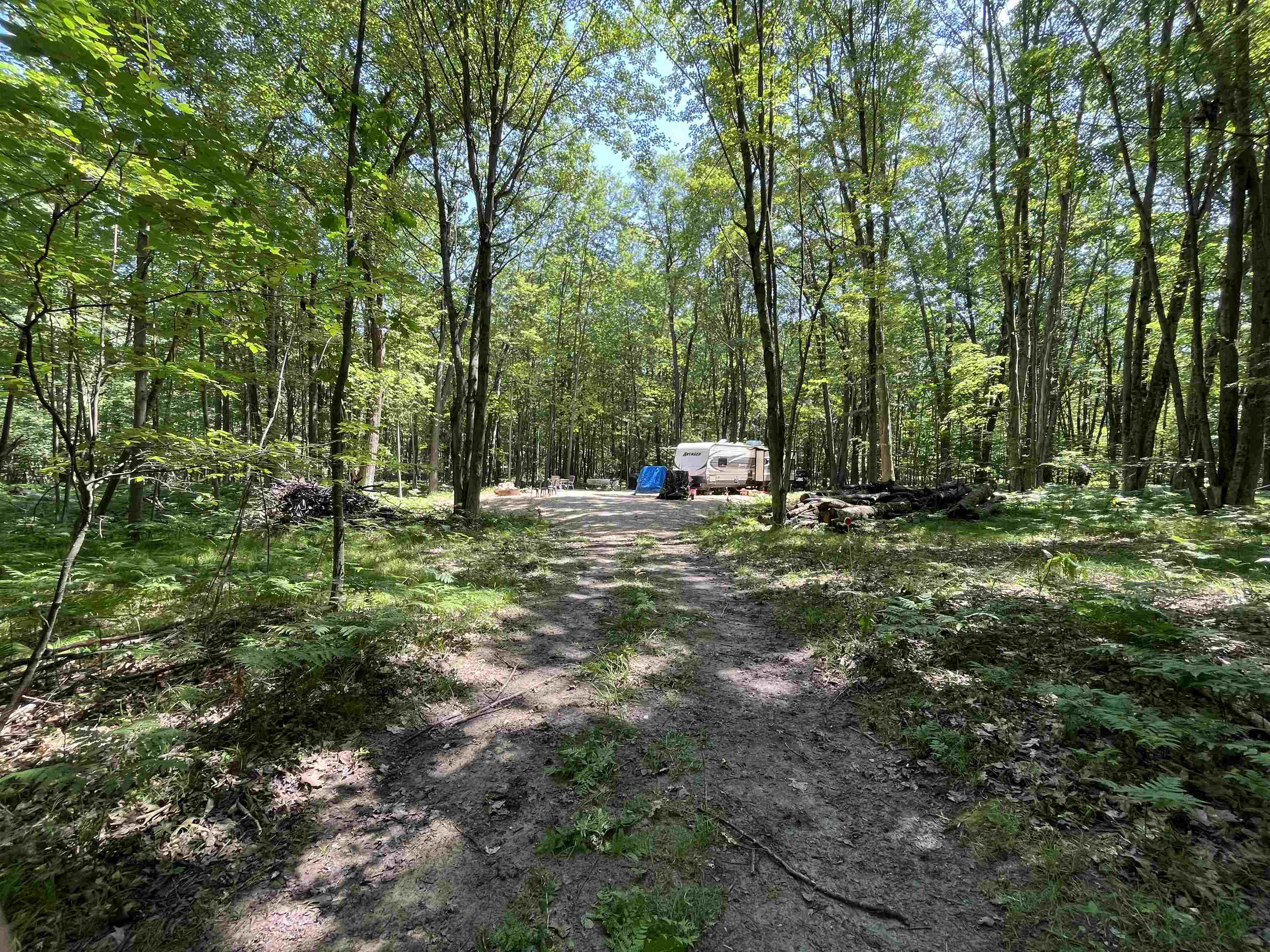 1031 Spruce Hill Drive Property Photo 12